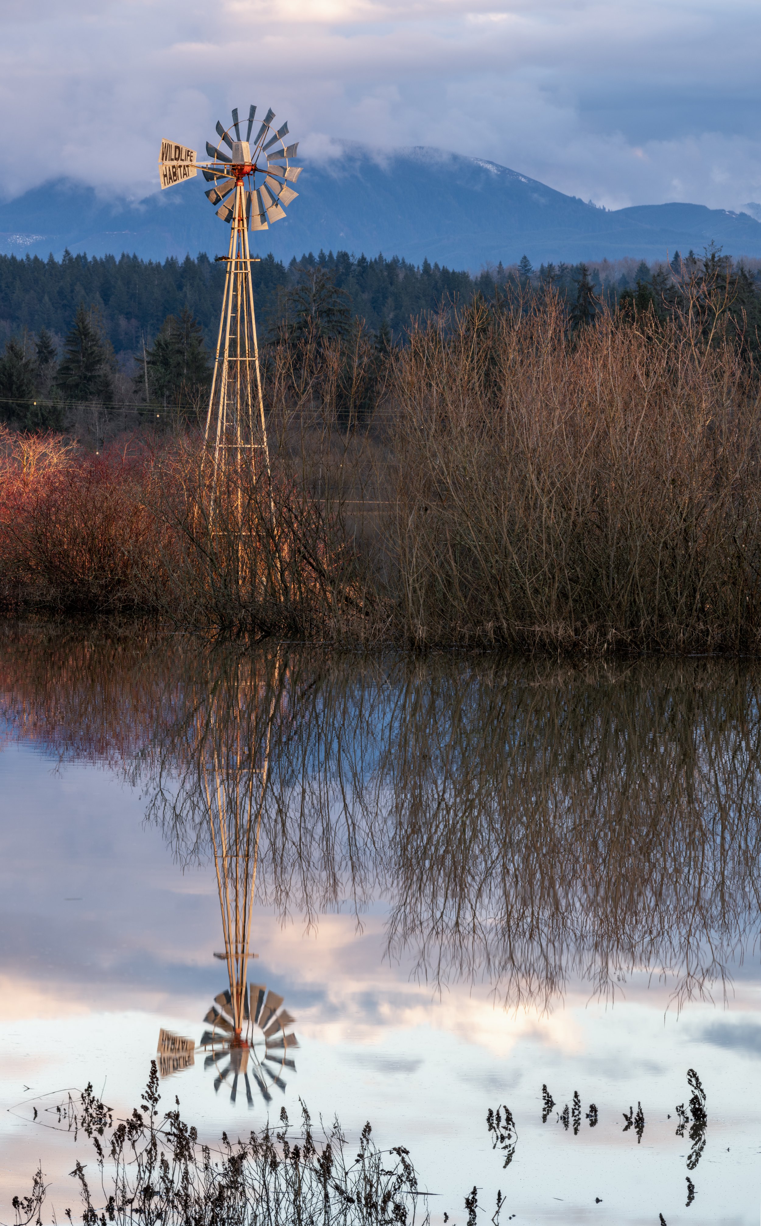 Wildlfe Habitat Windmill.jpg
