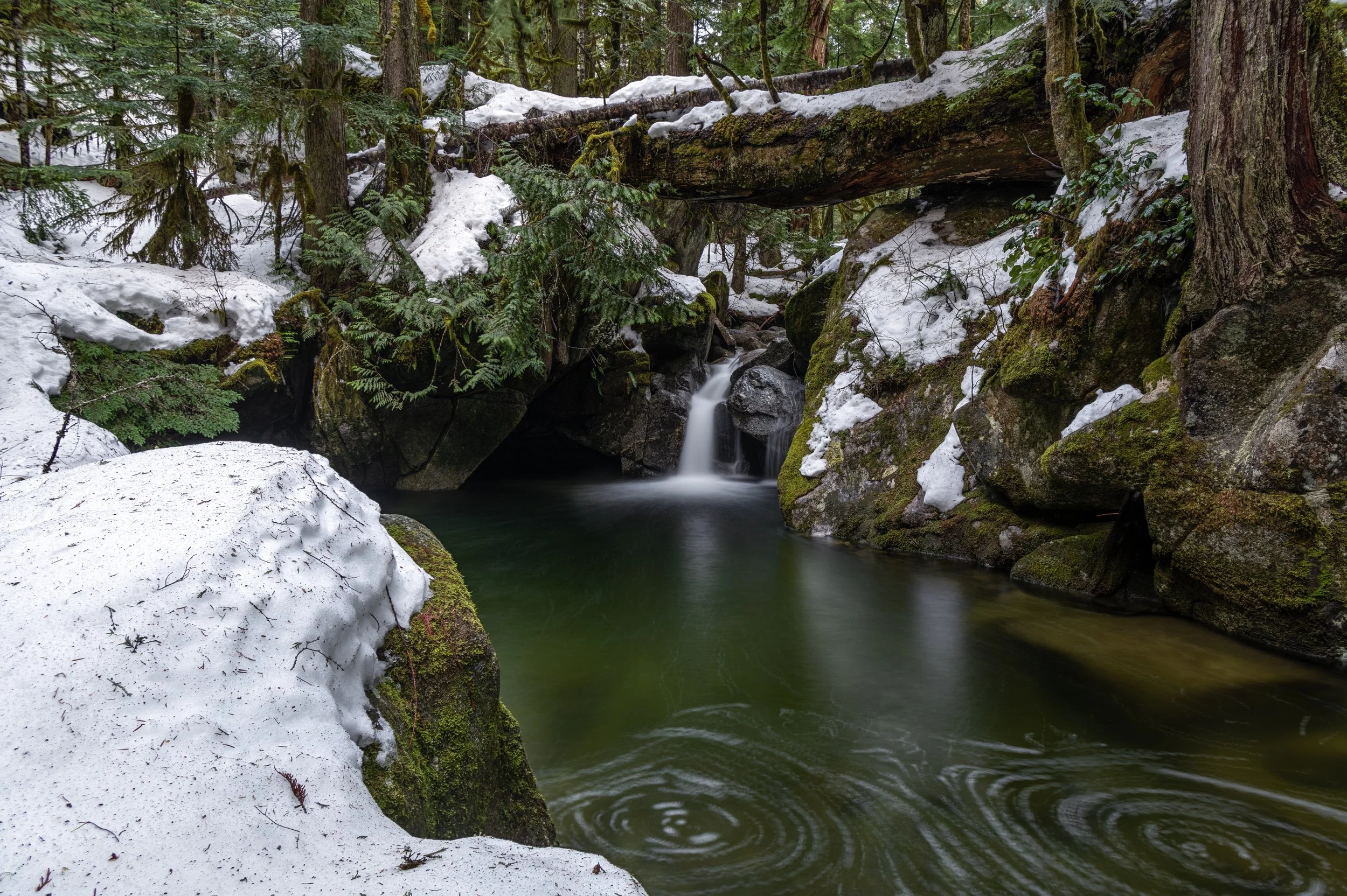 More Deception Little-3.jpg