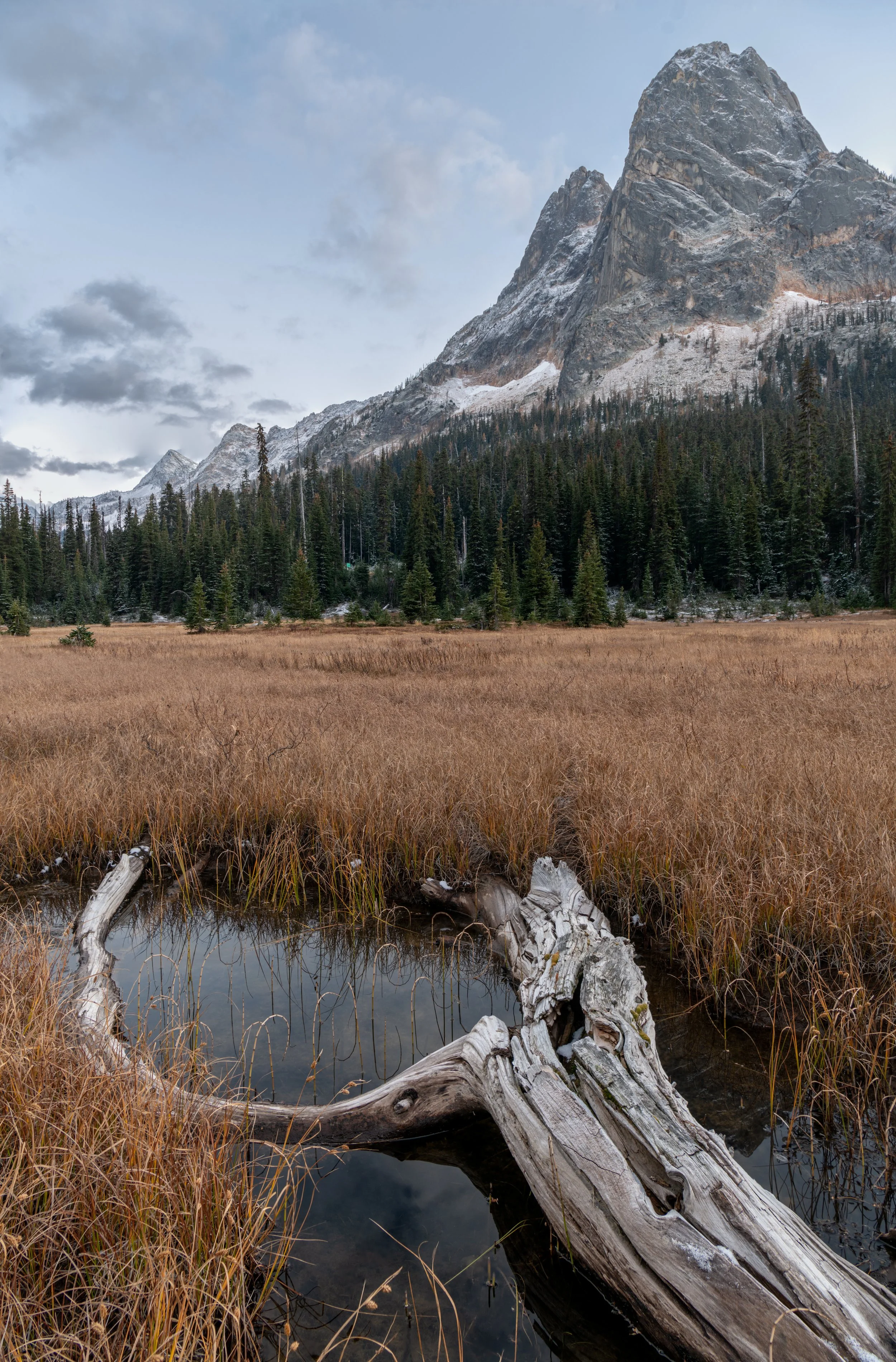 Liberty Wishbone.jpg