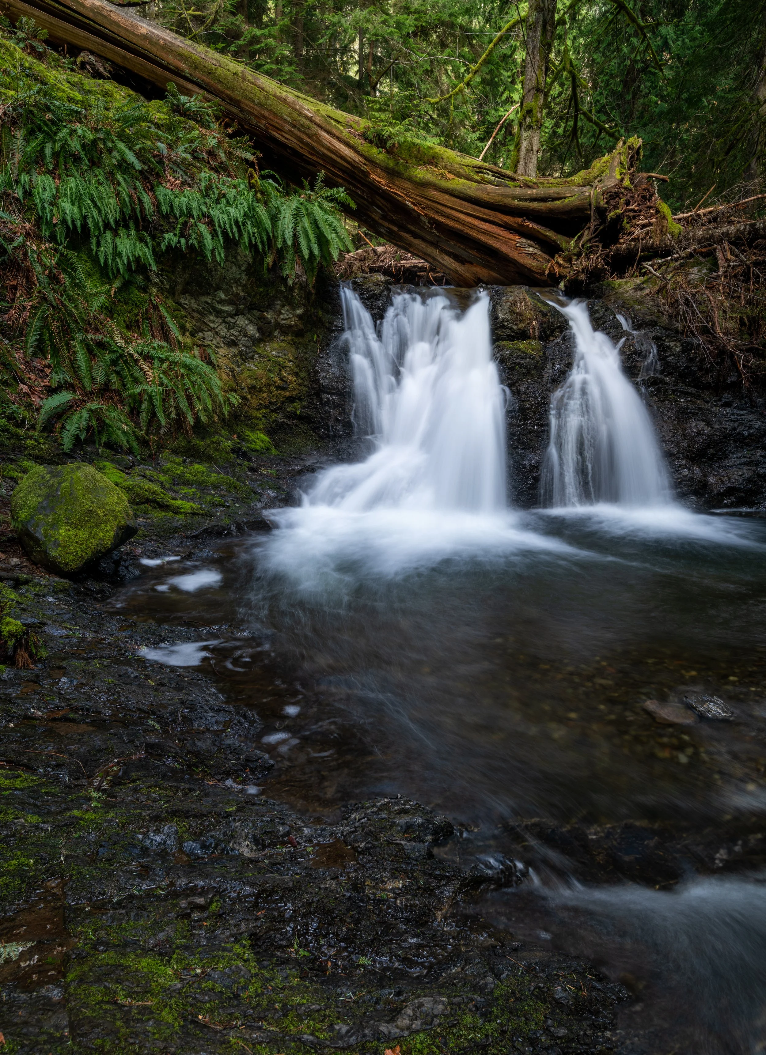 Rustic Falls-2.jpg