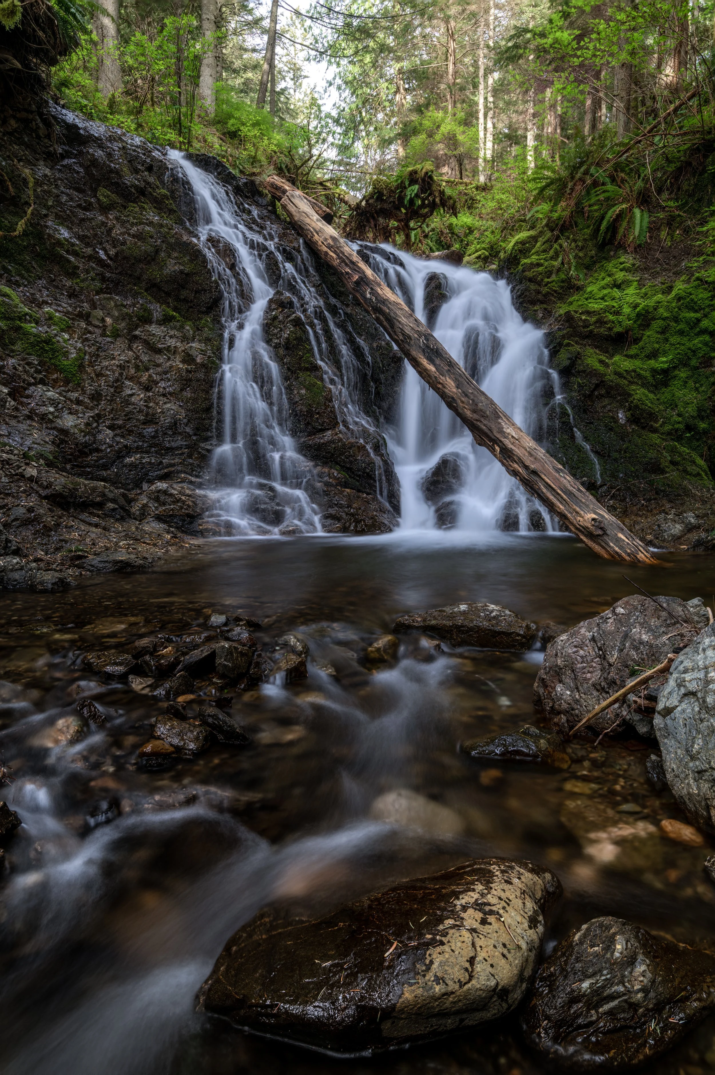 Cavern Falls Less Sat.jpg