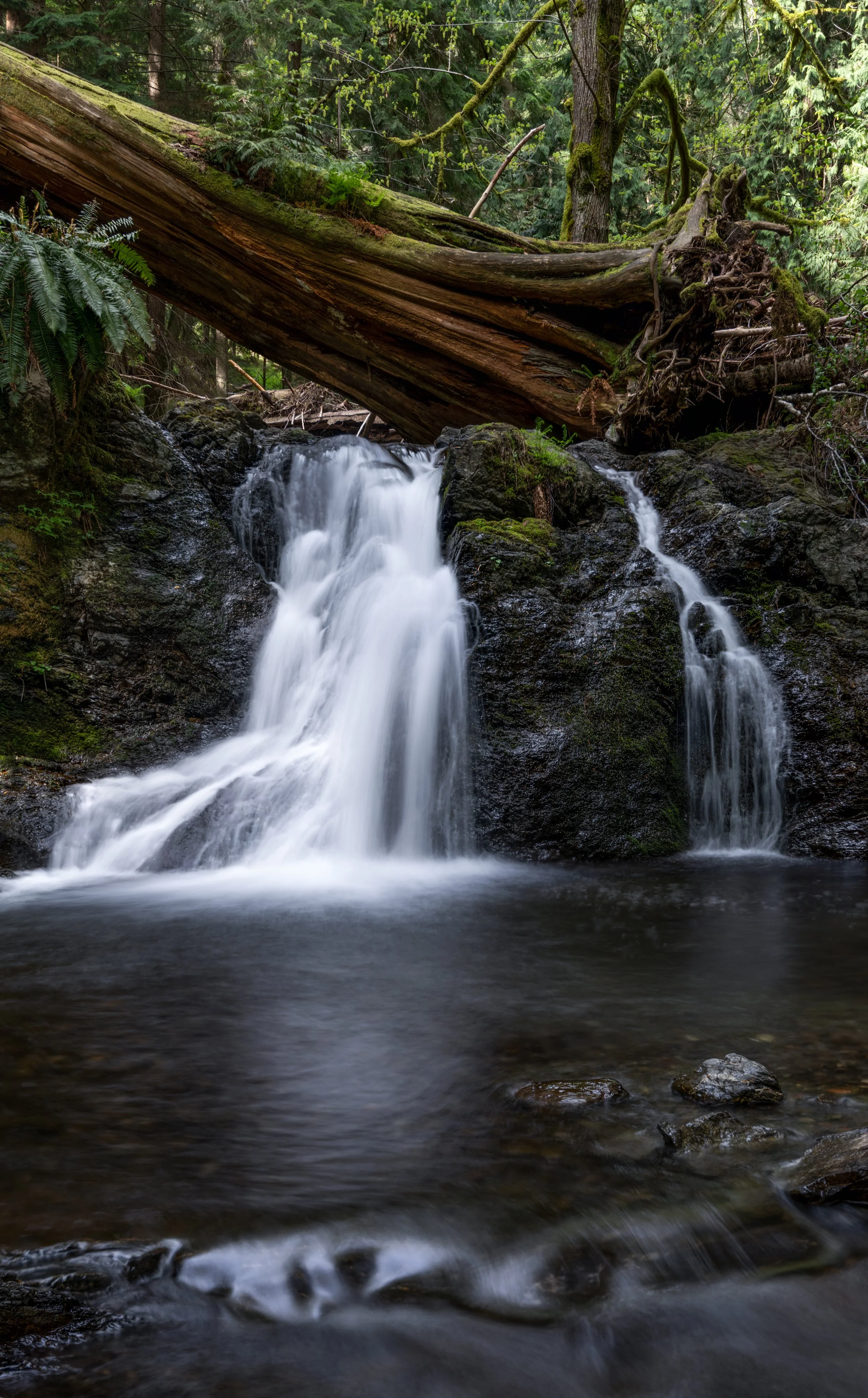 Rustic Falls 2-1.jpg