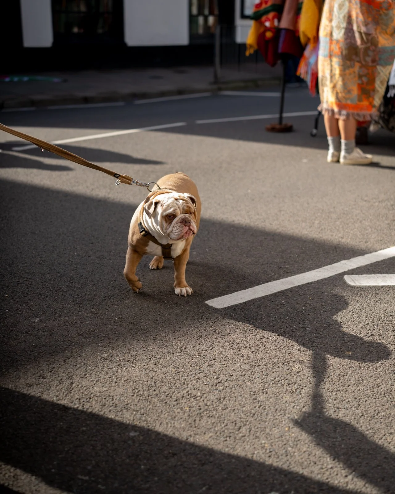 Swipe for some dog therapy โก๏ธ๐ถ
October doggos, doglets and puppers incoming, certified good lads and lasses with well trained humans too!
We often talk about the market being a great day out for all the family, we really do mean your dogs too. Eac