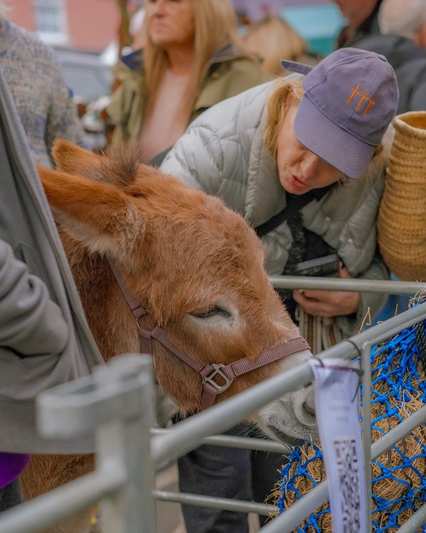 WE INTERRUPT THIS MARKET ANNOUNCEMENT FOR SOME VERY IMPORTANT NEWS 📣🫏

MINI. DONKEYS.

We'll be joined by mini donkeys at the June market and we cannot, in good conscience, bury this information any further down the post. 

Picture a normal donkey.