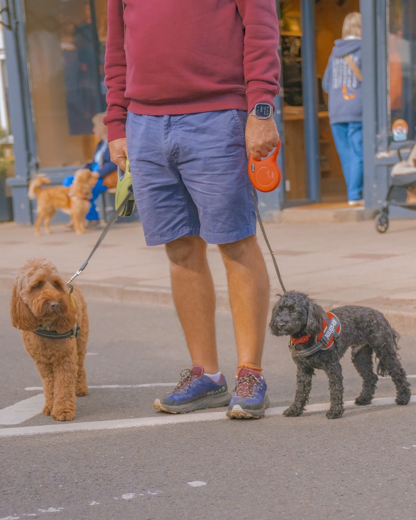 DOGS OF THE MARKET 🐾

Another market, another outstanding turnout from the four-legged contingent. We'd love to act surprised... but we do keep posting about it, and y'all keep bringing ya dogs.

🐕 Dogs always welcome at Holt Sunday Market, obvs
🗓