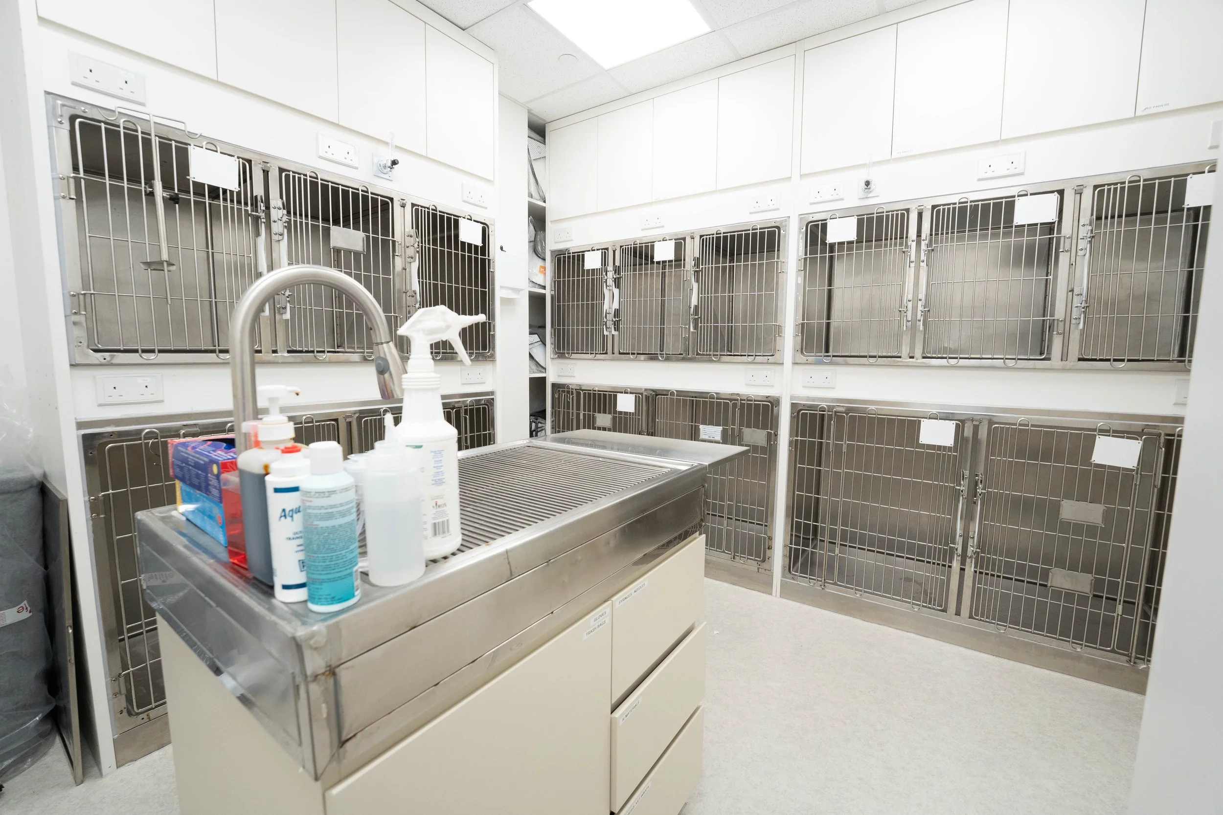 Veterinary Ward North Point Animal Hospital - 24 Hour Vet Clinic in Hong Kong