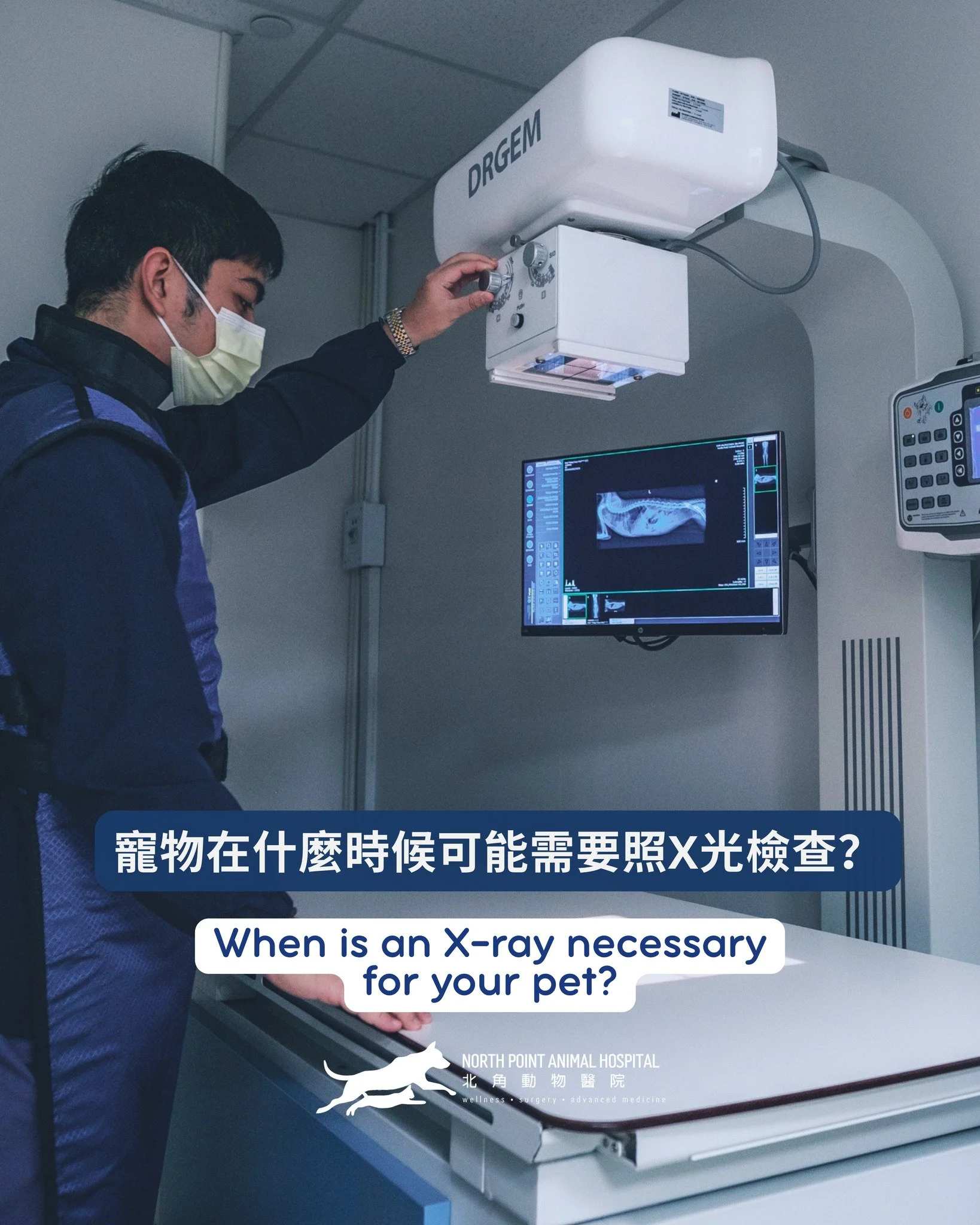在北角動物醫院，我們明白到寵物的健康始終是您的首要考慮。我們的先進X光服務能更精準地協助診斷及治療，讓您的寵物更快康復，回復健康舒適的狀態。

寵物在什麼時候可能需要照X光檢查？
- 受傷或創傷（骨折、扭傷、脫臼）
- 腸胃問題或懷疑吞下異物
- 呼吸問題（咳嗽、呼吸困難）
- 關節炎或關節疼痛
- 長期需要監察健康狀況等

我們的專業團隊致力提供細心診療與最佳診斷工具。配合先進科技，能迅速提供結果，您可安心將寵物交給我們照顧。

如需預約檢查，歡迎立即聯絡我們。

📍 地址：香港北角清華街1