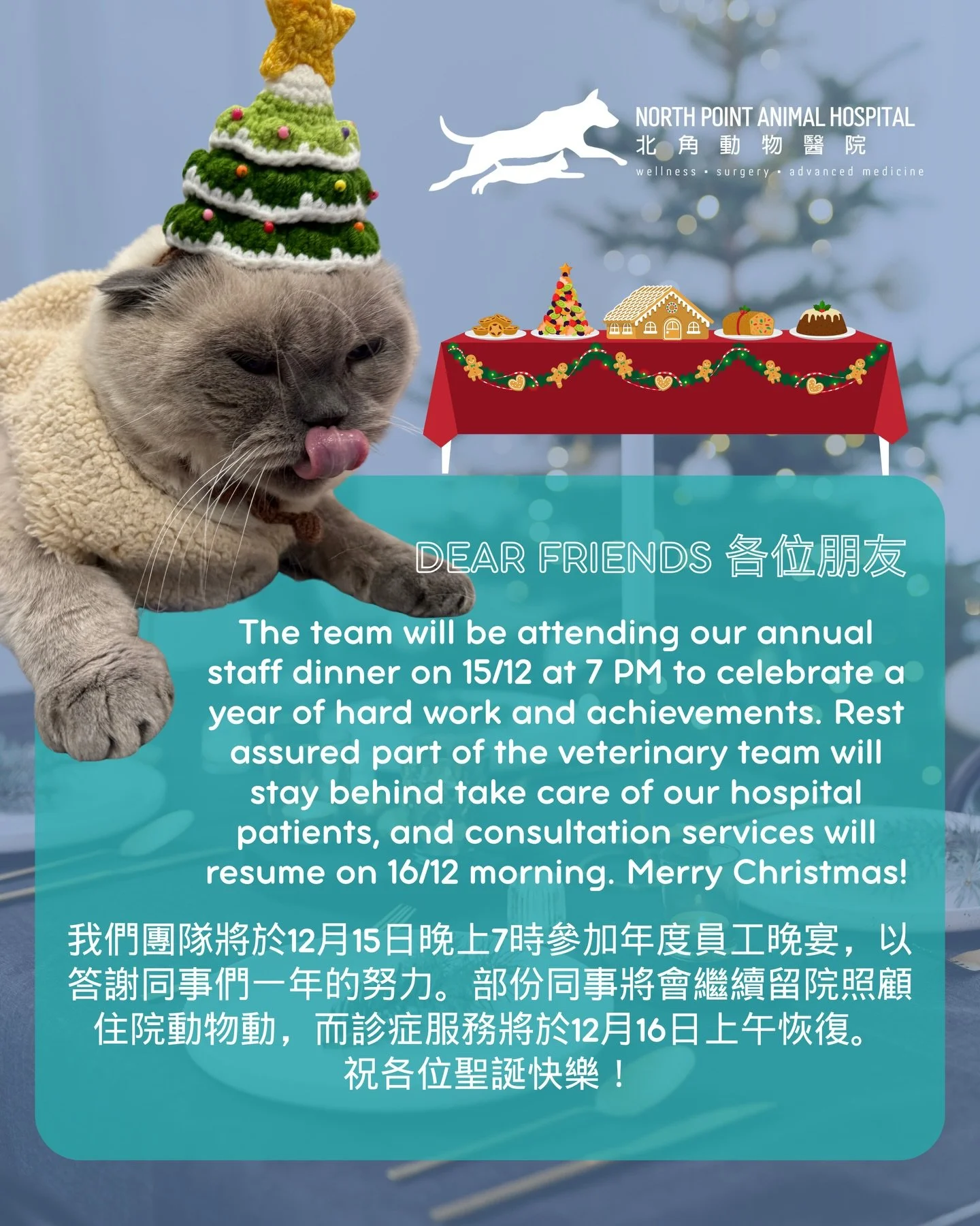 Dear Friends ✨
The team will be attending our annual staff dinner on 15/12 at 7 PM to celebrate a year of hard work and achievements. Rest assured part of the veterinary team will stay behind take care of our hospital patients, and consultation servi
