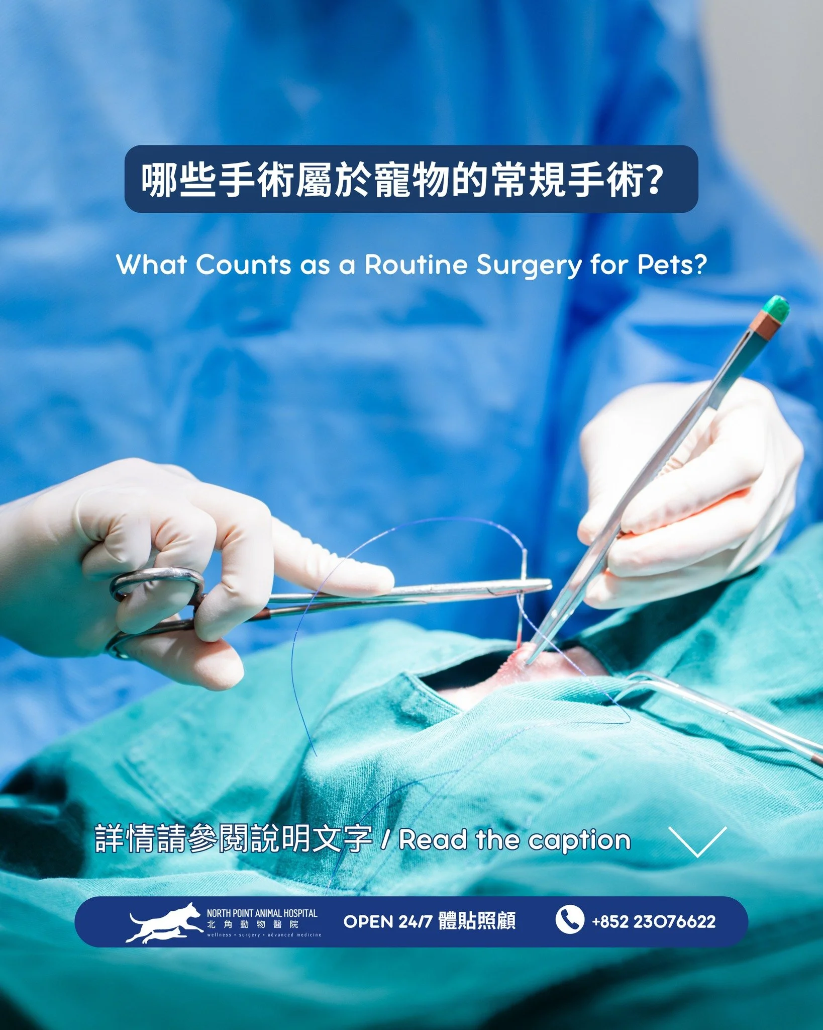 常規手術雖然簡單常見，但對維持寵物健康是非常重要的。

最常見的包括：
- 絕育手術&mdash;&mdash;預防意外繁殖並促進長期健康
- 牙齒清潔&mdash;&mdash;維持口腔健康並預防嚴重牙科疾病

這些手術風險較低，但仍需要專業團隊處理。我們經驗豐富的手術團隊會由術前規劃到術後護理全程跟進，確保您的寵物獲得最佳照顧。
如您正考慮為寵物安排手術，歡迎與我們預約諮詢。

📍 地址：香港北角清華街1號
📞 電話：+852 2307 6622

What Counts as a Ro