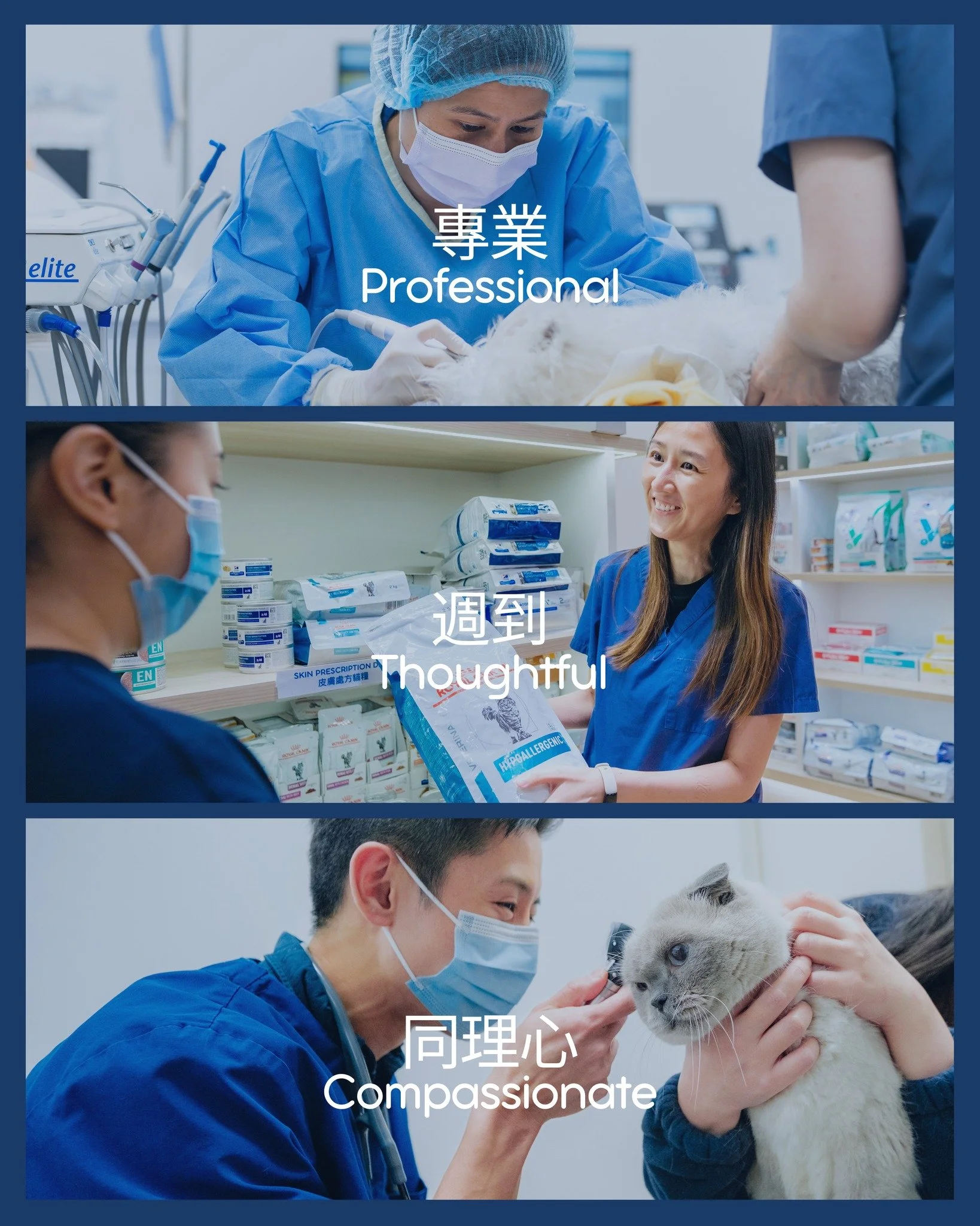 北角動物醫院的使命簡單清楚：
就是為您的毛孩於每個生命階段提供周到、專業且充滿關懷的醫療服務。

我們的服務包括：
&bull;⁠ ⁠預防保健與健康檢查
&bull;⁠ ⁠疫苗接種及寄生蟲防治方案
&bull;⁠ ⁠診斷檢測與影像檢查
&bull;⁠ ⁠外科手術及牙科護理
&bull;⁠ ⁠慢性疾病管理
&bull;⁠ ⁠營養與生活方式建議

我們相信，良好的獸醫照護不僅是治療，更包含教育、預防及提供長遠健康的意見。

📞 23076622
📍 北角清華街1號
全年無休，包括公眾假期

At