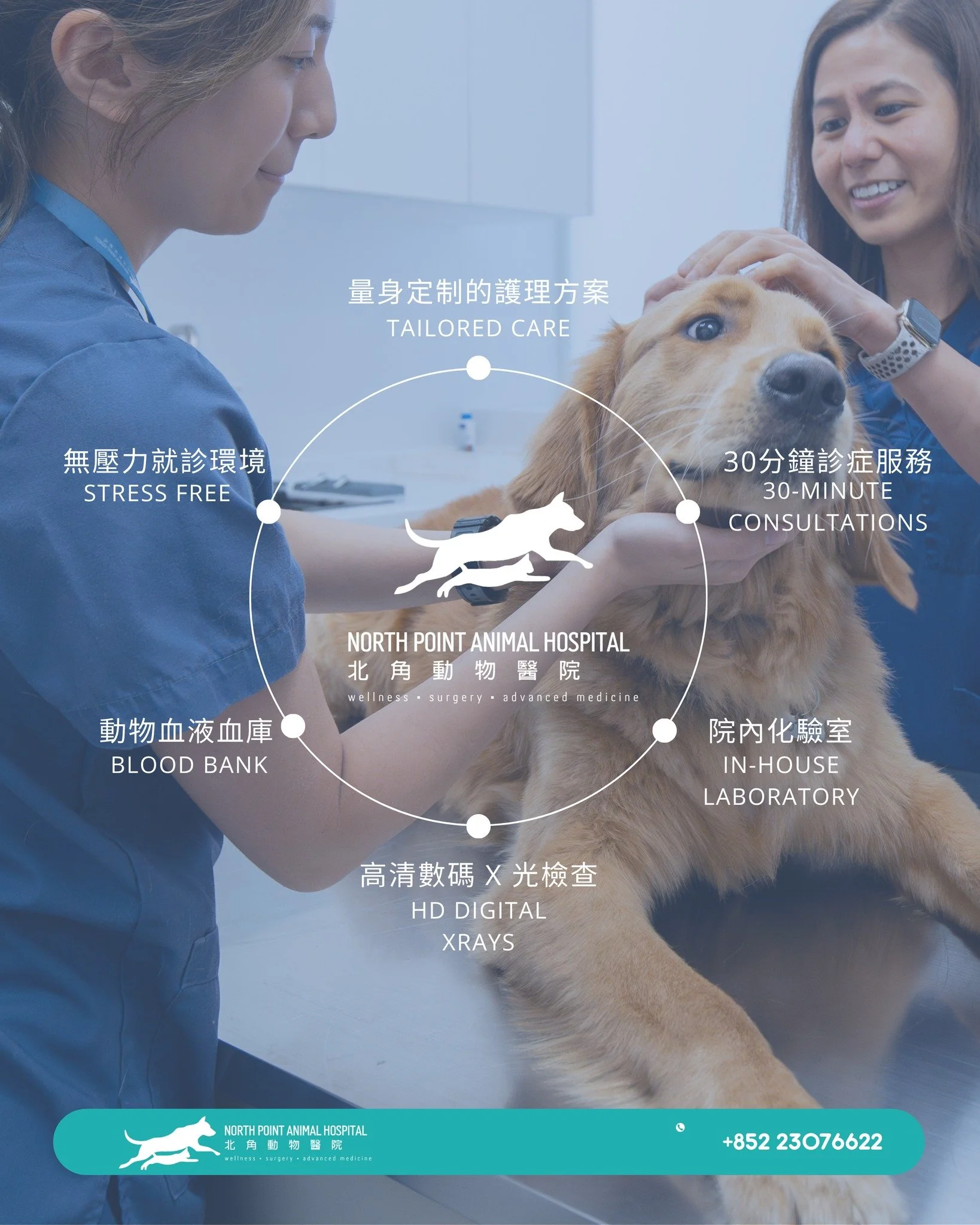 每一隻寵物都應該獲得我們細心的照顧🐾

在北角動物醫院，我們相信良好的醫療服務包括足夠的診療時間、專業的態度和殷切的關懷。從30分鐘的診療服務，到院內化驗室、高解析度數碼X光檢查及動物血液庫，我們致力於提供全面而精確的診療支持。

加上我們無壓力的就診環境以及為每一隻毛孩量身定制的護理方案，我們確保每一次看診都更加安心和舒適。
守護毛孩的健康，從細節開始。

📞 如需預約，歡迎致電：+852 2307 6622
📍 地址：香港北角清華街1號

Every pet deserves thou
