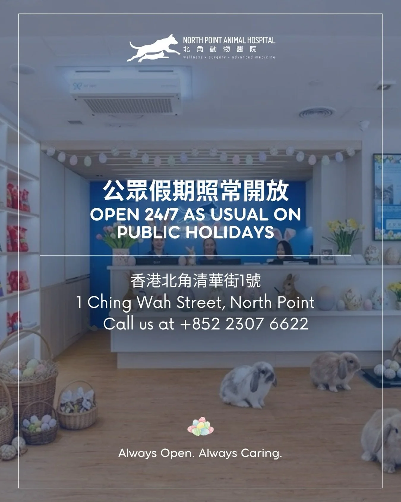 祝大家有個健康快樂的復活節🌷

無論您的毛孩需要例行檢查，或是額外的專業協助，北角動物醫院始終在您身旁。復活節假期間，我們照常開放，守護毛孩的健康，讓您與愛寵都能安心享受假期！

我們全體醫護人員衷心祝願您和毛孩度過一個充滿喜悅的假期！

Hop into a happy and healthy Easter! 🌷

Whether your furry friend needs a check-up or an unexpected &ldquo;egg-stra&rdquo; hand,