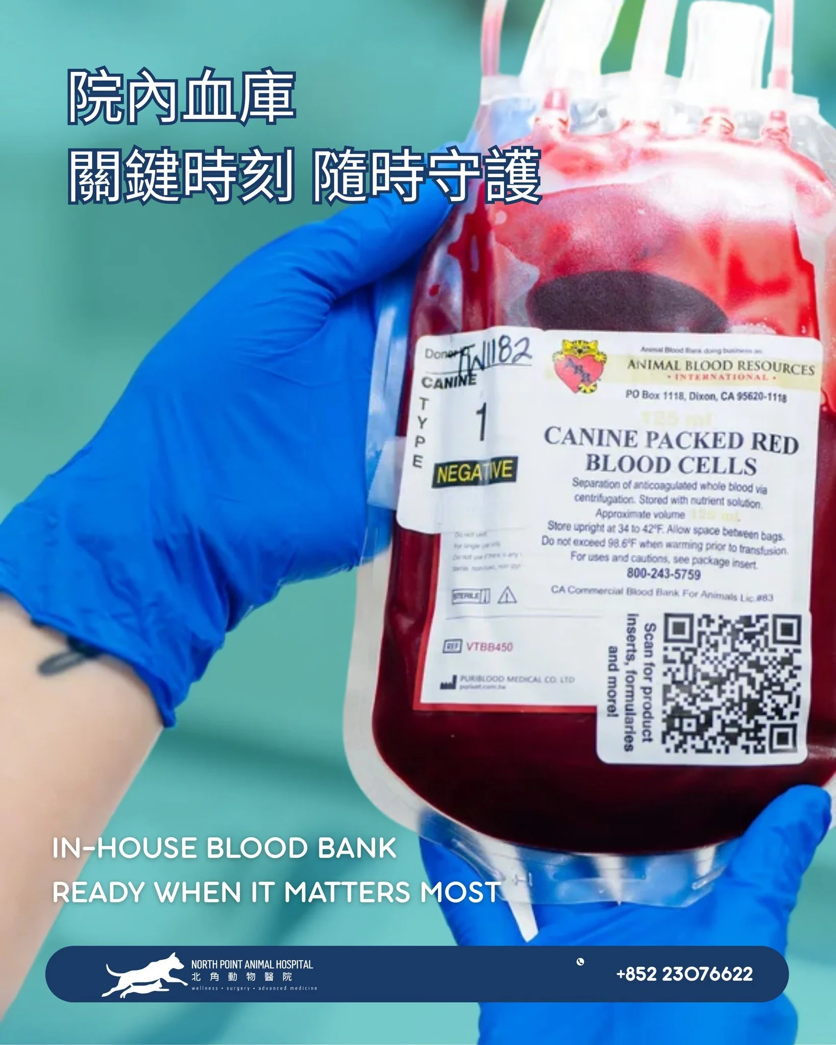 在緊急情況或手術期間，時間就是關鍵。

在北角動物醫院，我們配備院內血庫，讓我們能在需要輸血時立即提供支援，為重症或急症的毛孩爭取寶貴的治療時間。
無論是手術、創傷、貧血或其他需要輸血的情況，即時取得血液都可能成為挽救生命的重要一步。 🐾

📍 地址：香港北角清華街 1 號
📞 電話：+852 2307 6622

In emergencies or during surgery, time is critical.

Having an in-house blood bank allow