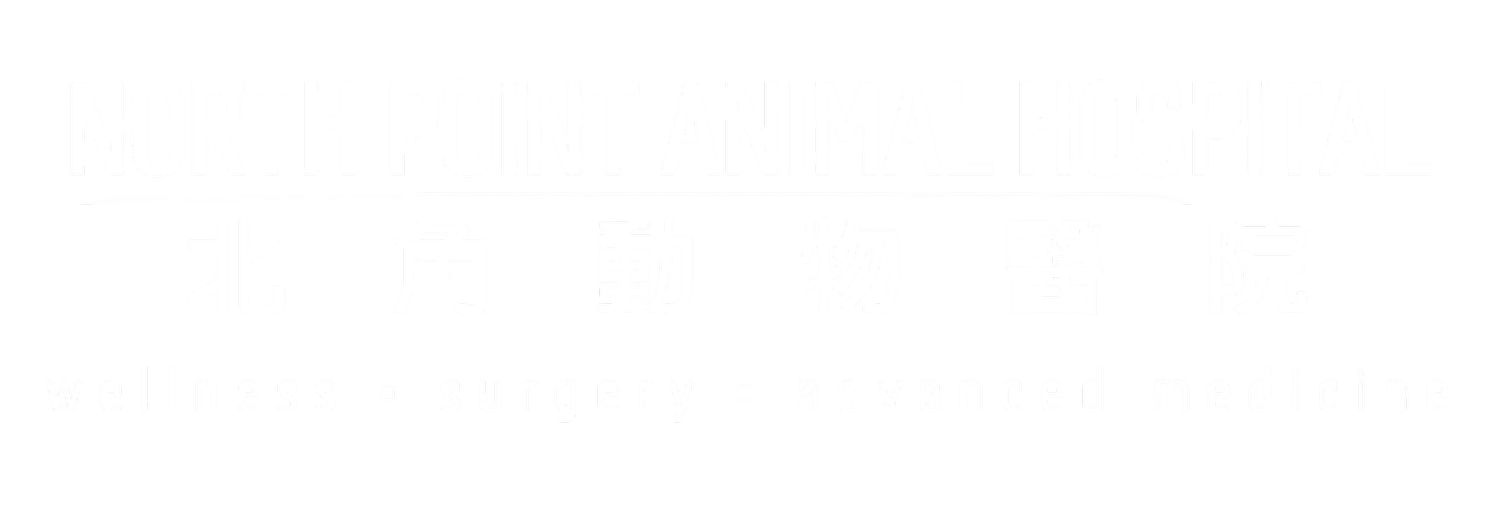 North Point Animal Hospital | 北角動物醫院