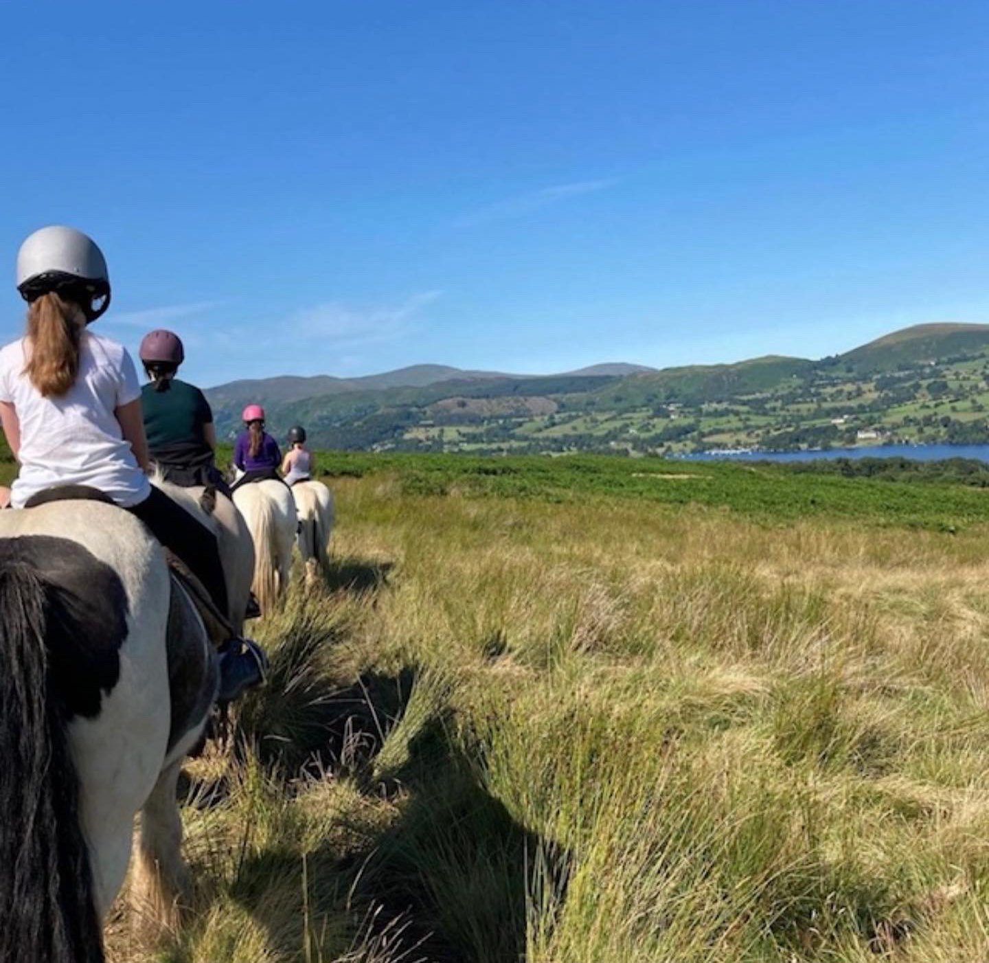 People horseback riding through a grassy field with a view of distant hills and a lake under a clear blue sky.
