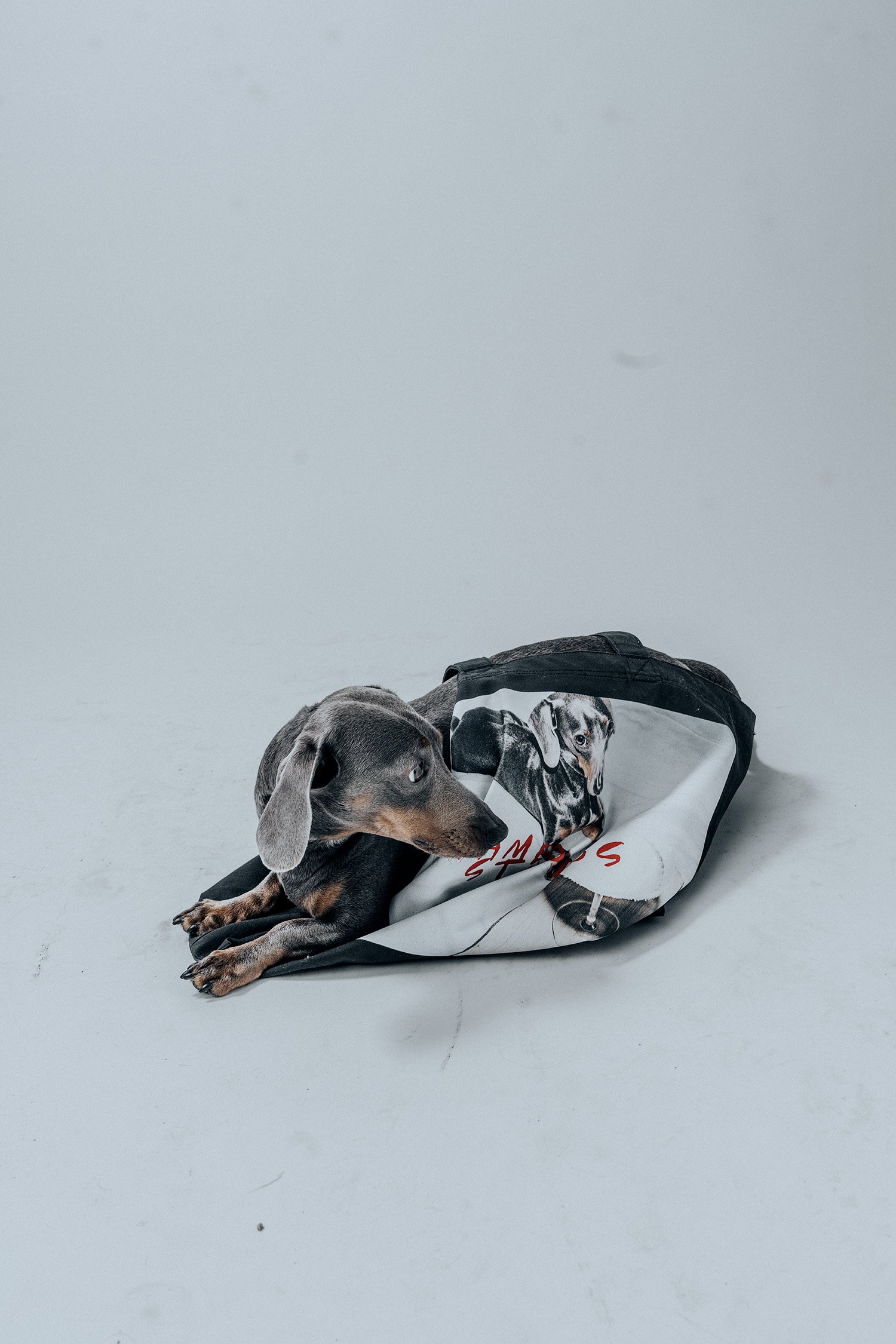 Weenie Tote 1.jpg