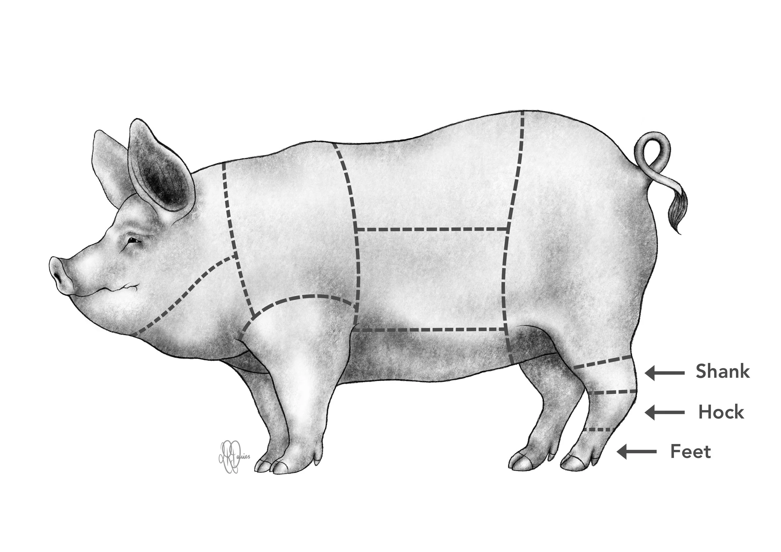 Cook Book Illustration