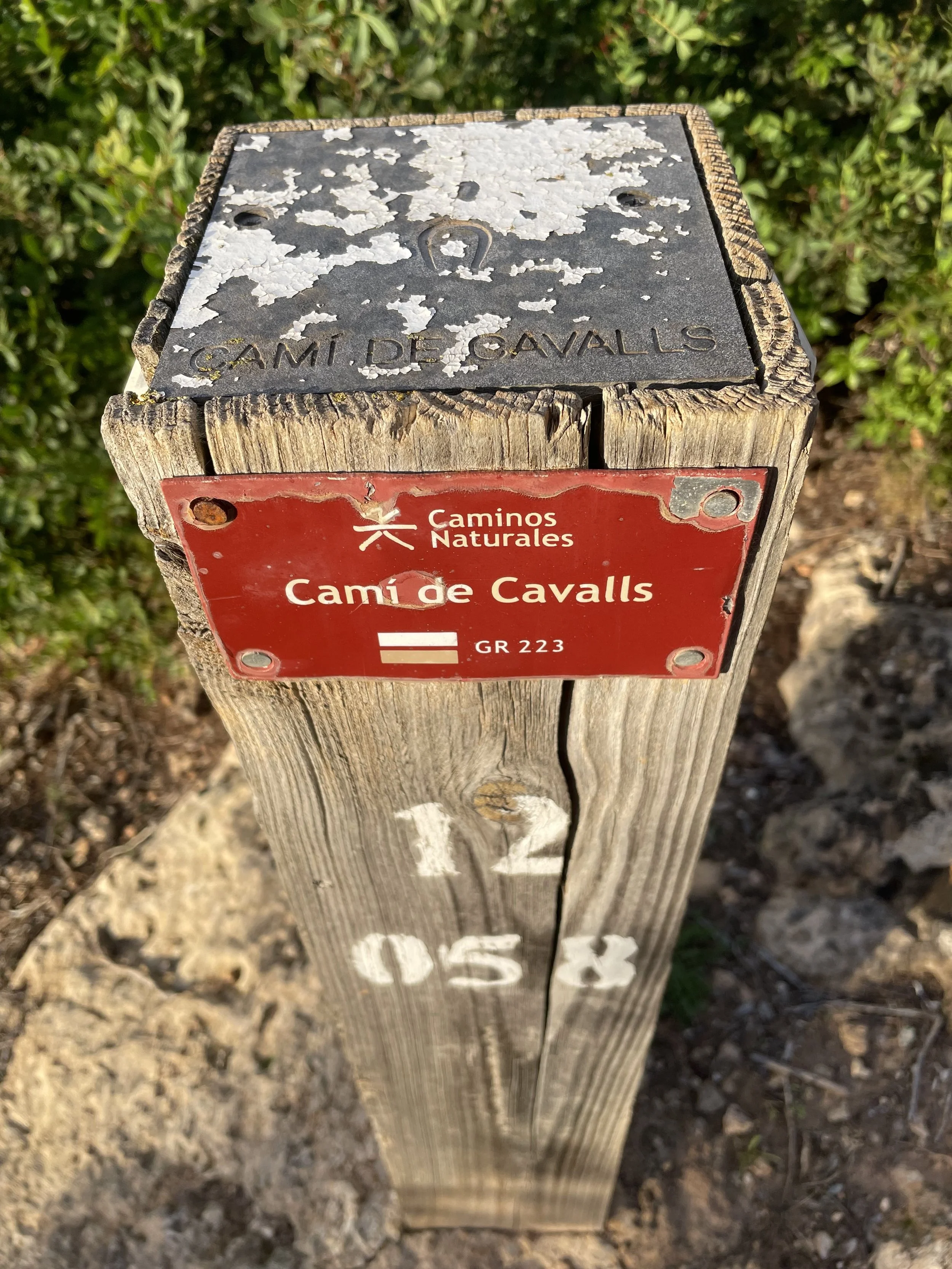Mallorca or Menorca for a Walking Trip? A DMC's Honest Answer