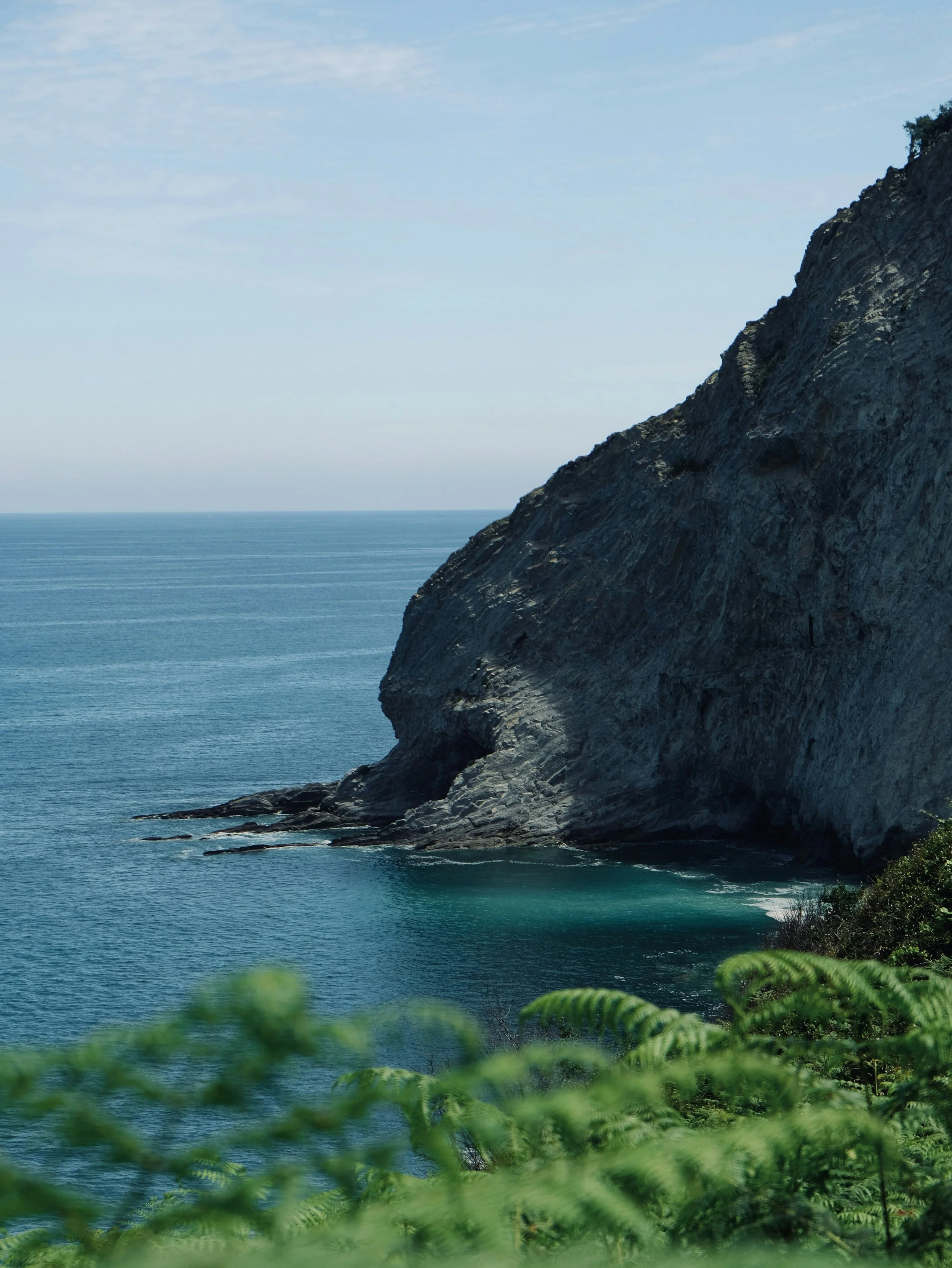 A coastal scene with a large rocky cliff extending into the ocean, green foliage in the foreground, and a clear blue sky.