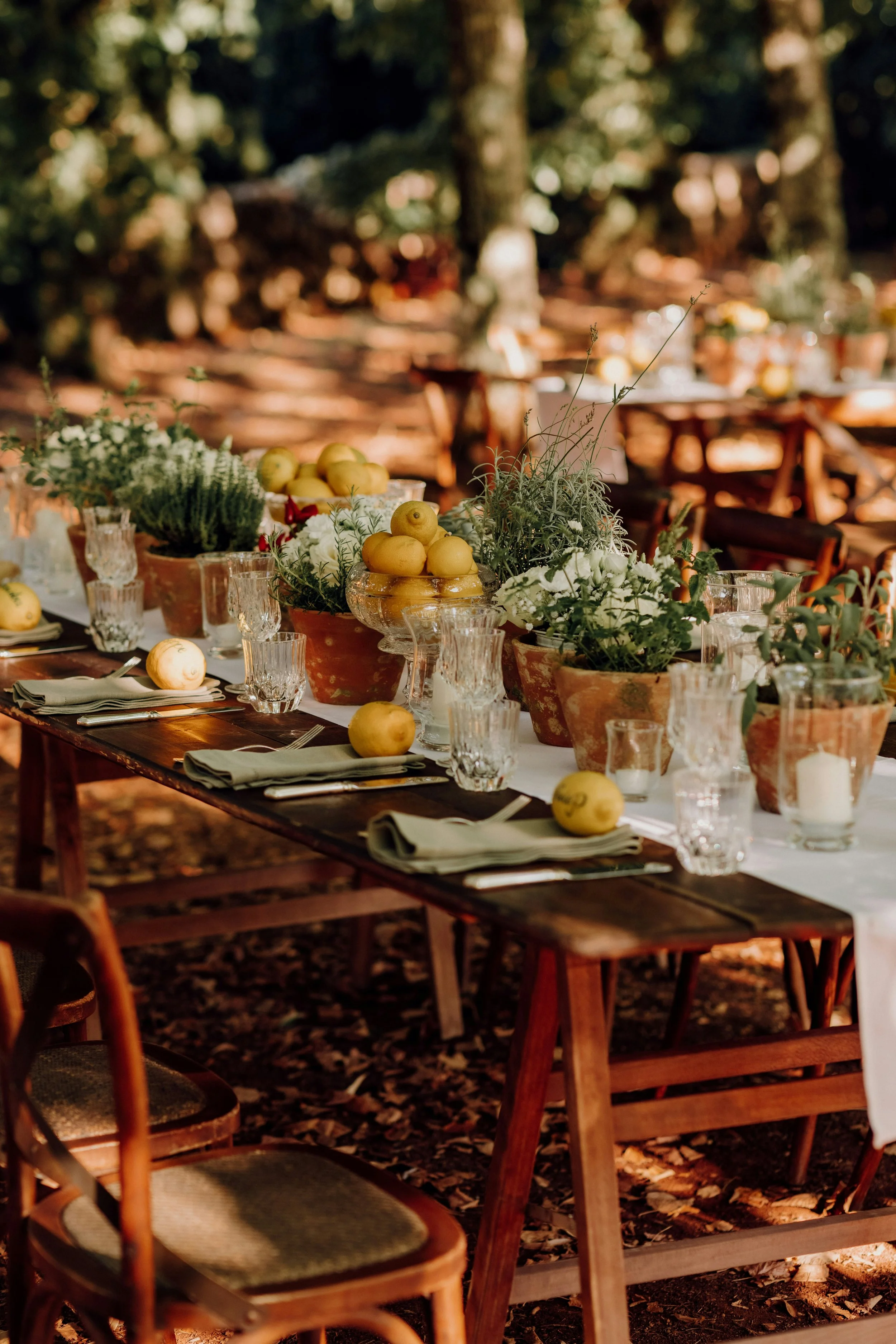 A long outdoor wooden table decorated with potted plants, yellow apples, glasses, and napkins set for a meal, with a natural woodland background.
