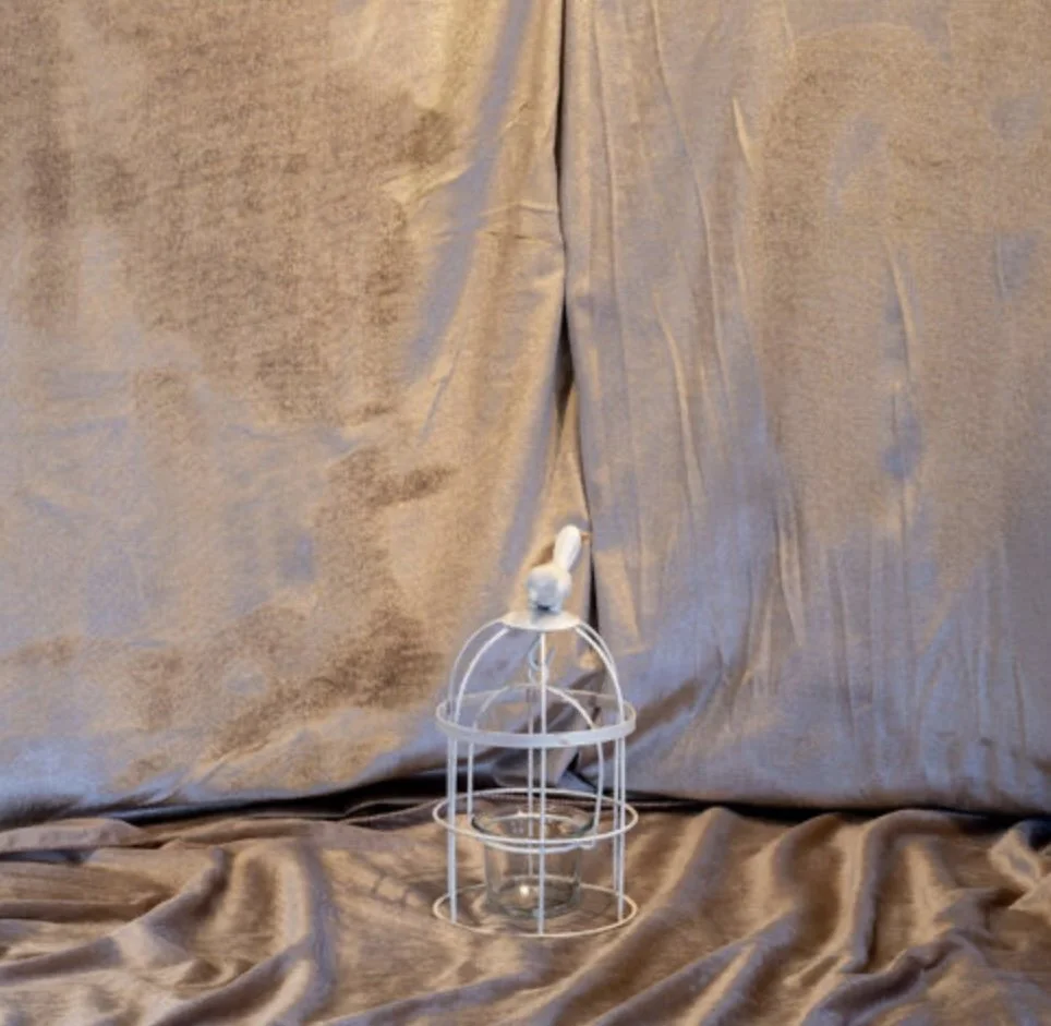 Birdcage #2