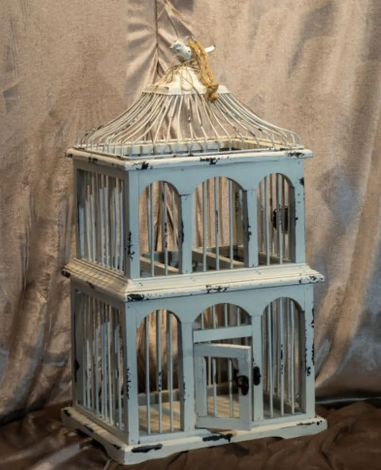 Birdcage #4