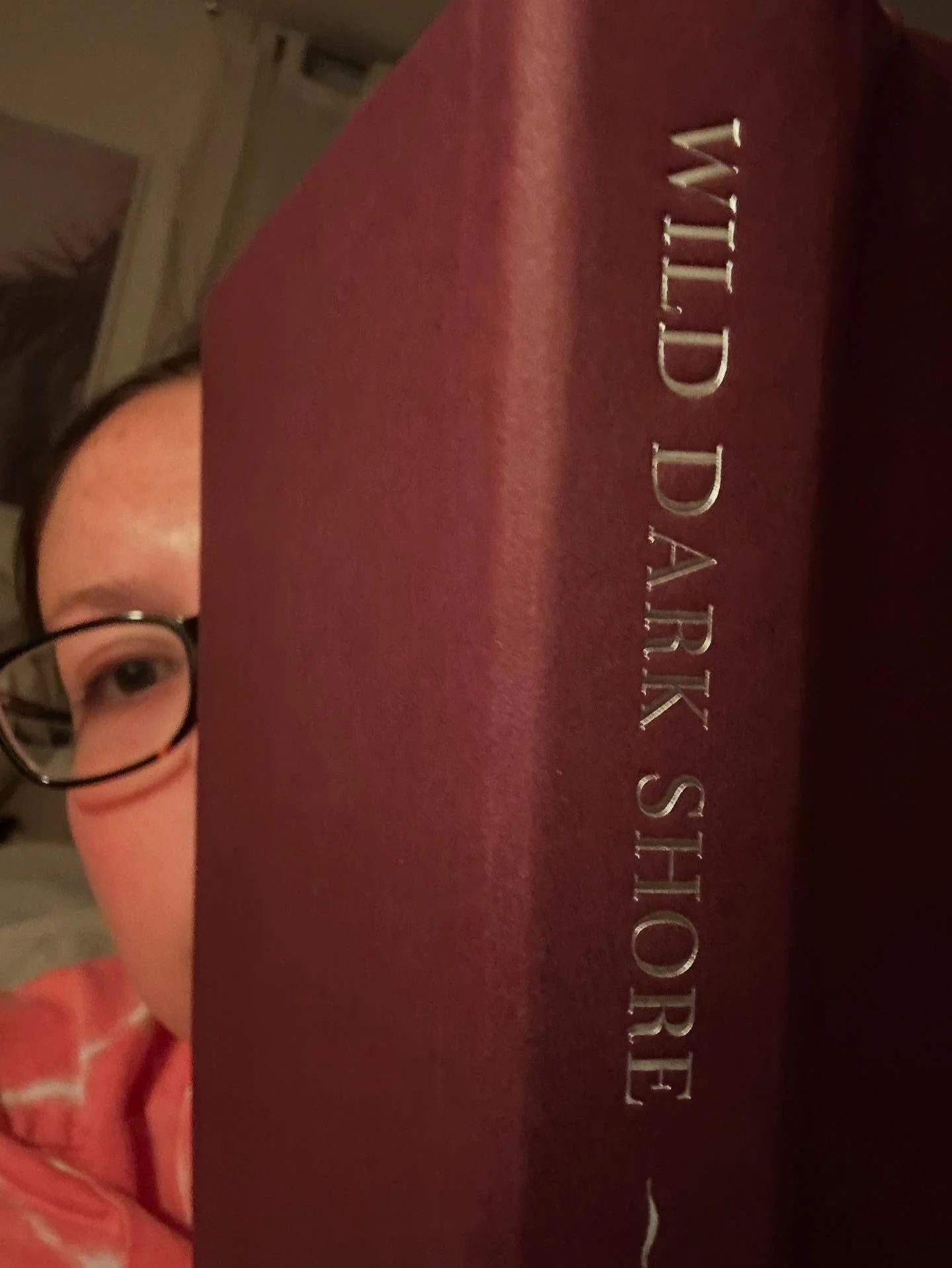 The vibe of this one so far reminds me of THE LIGHT PIRATE &hellip; not in subject matter, but in style. Lovely prose.