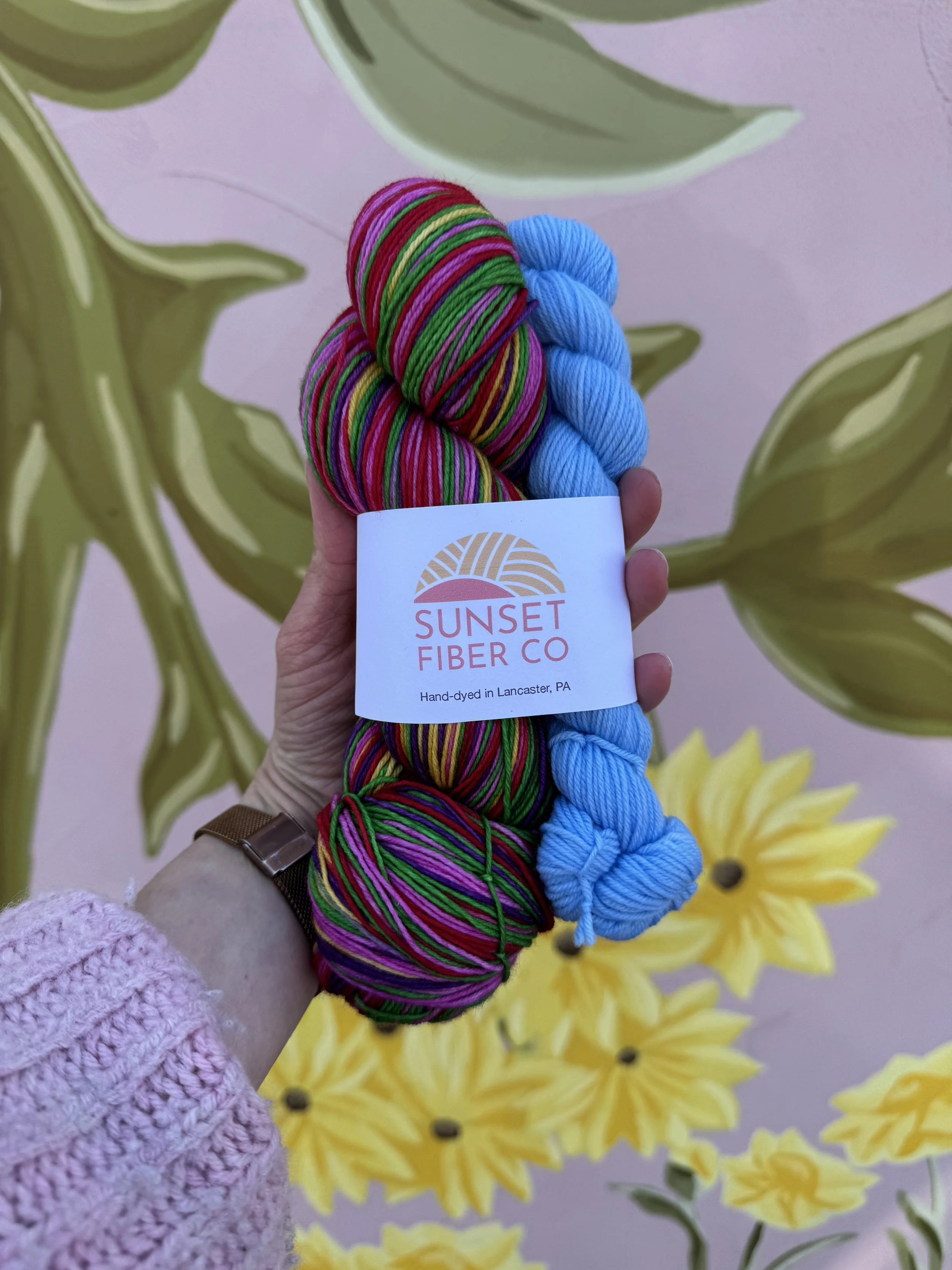 Tulip Field Frolic Sock Set - COMING 5/29