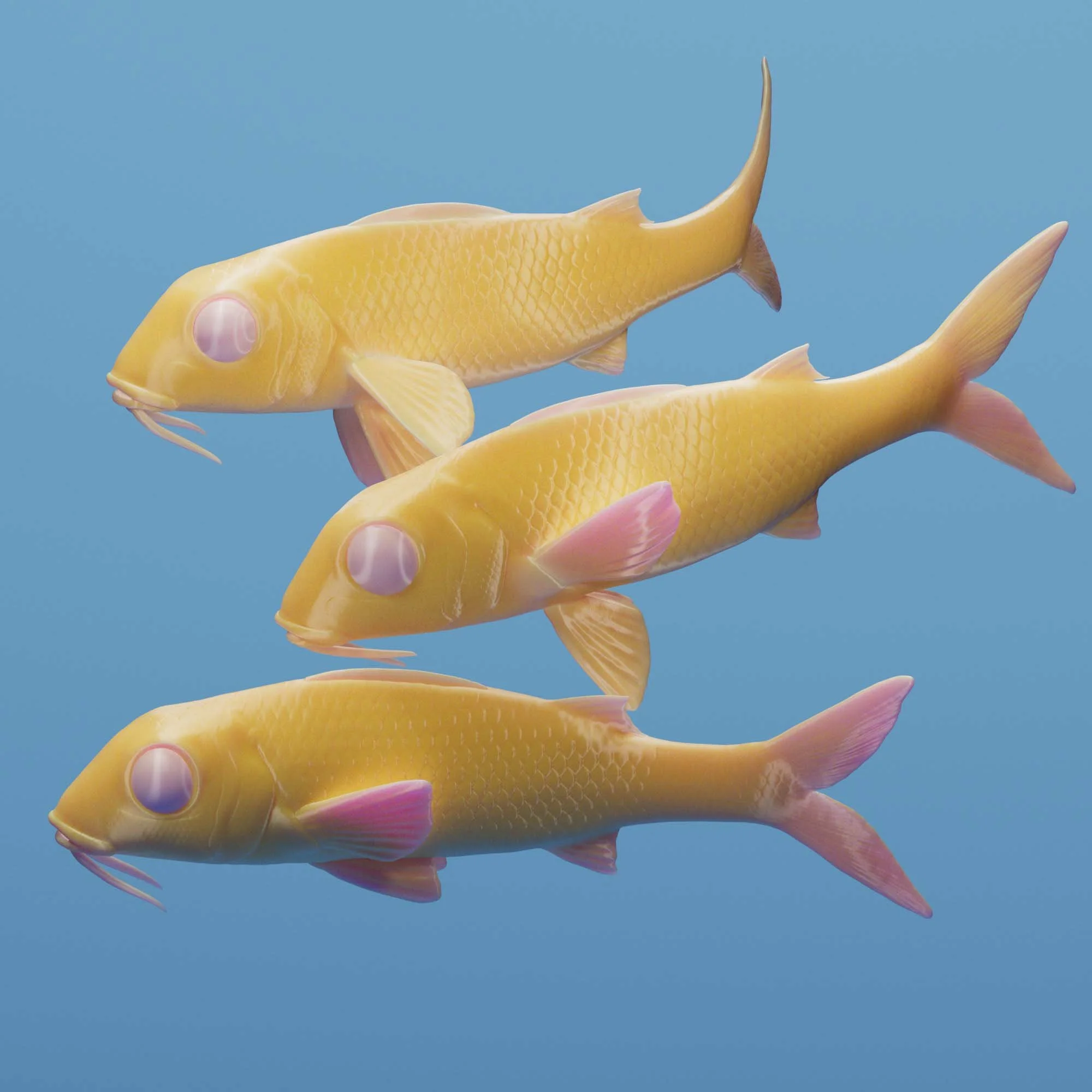 Yellow Goatfish
(Mulloidichthys martinicus)