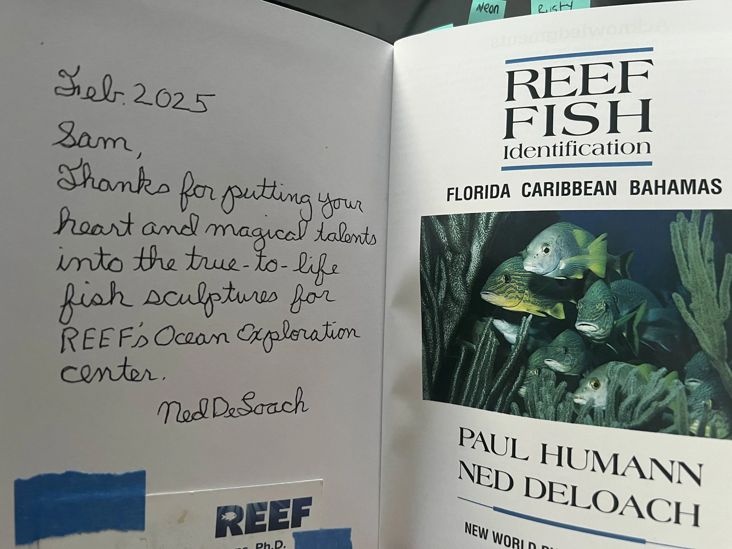 A lovely note from Ned Deloach, the co-founder of REEF and Pioneer of fish identification.