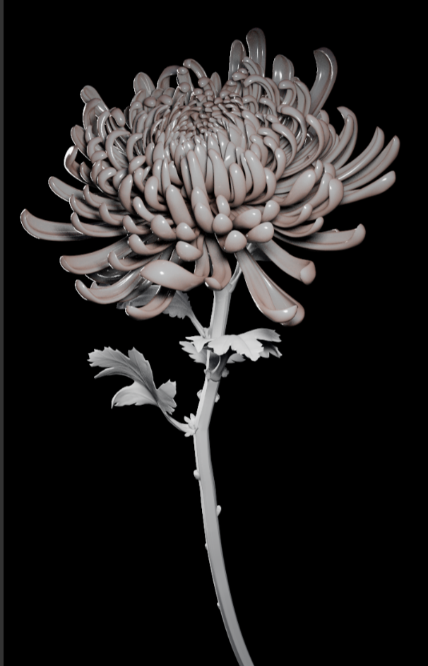 Low poly chrysanthemum flower for animations -- Collaboration with Ideaandmaker for Signal fest x Loreal.