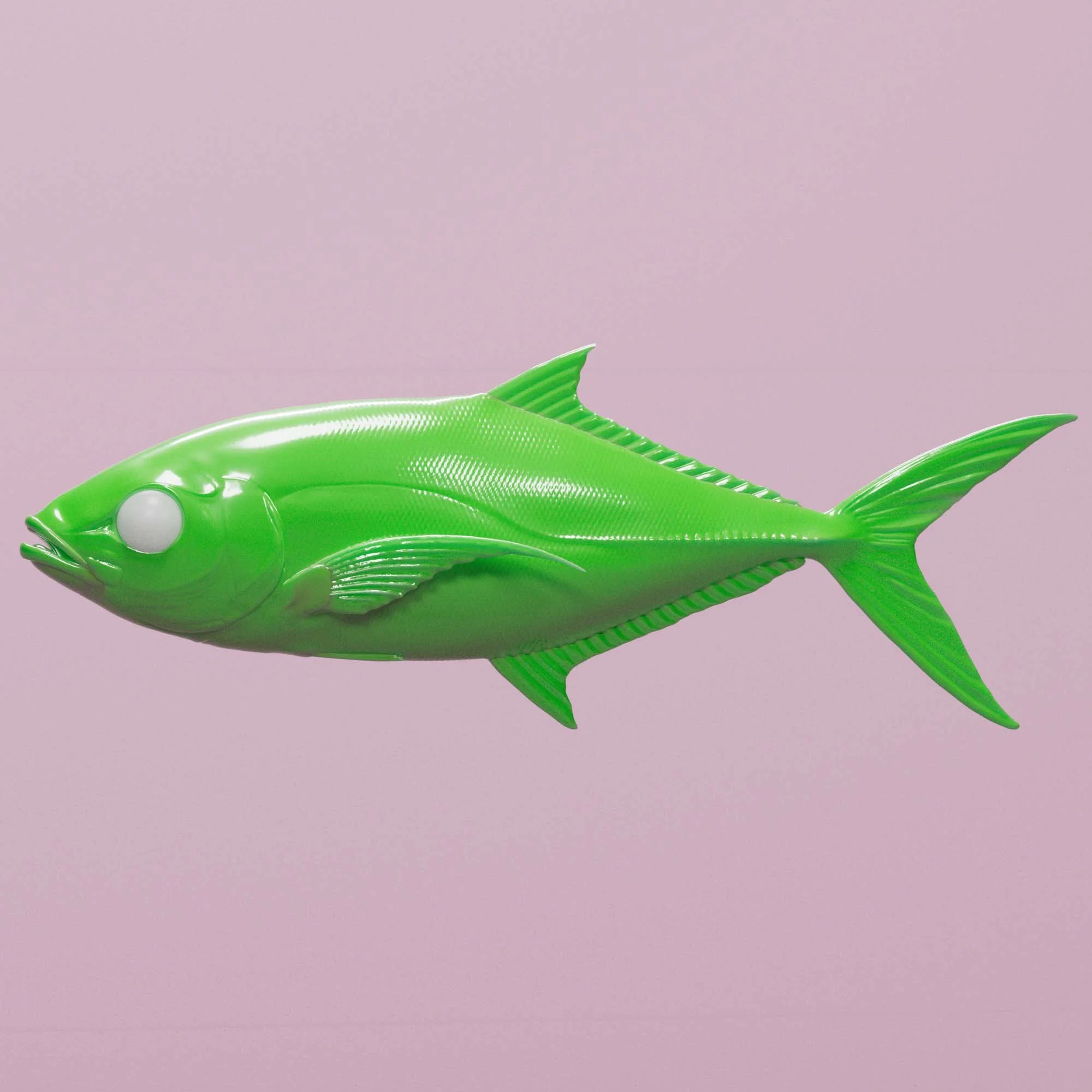 Bar Jack
(Caranx ruber)