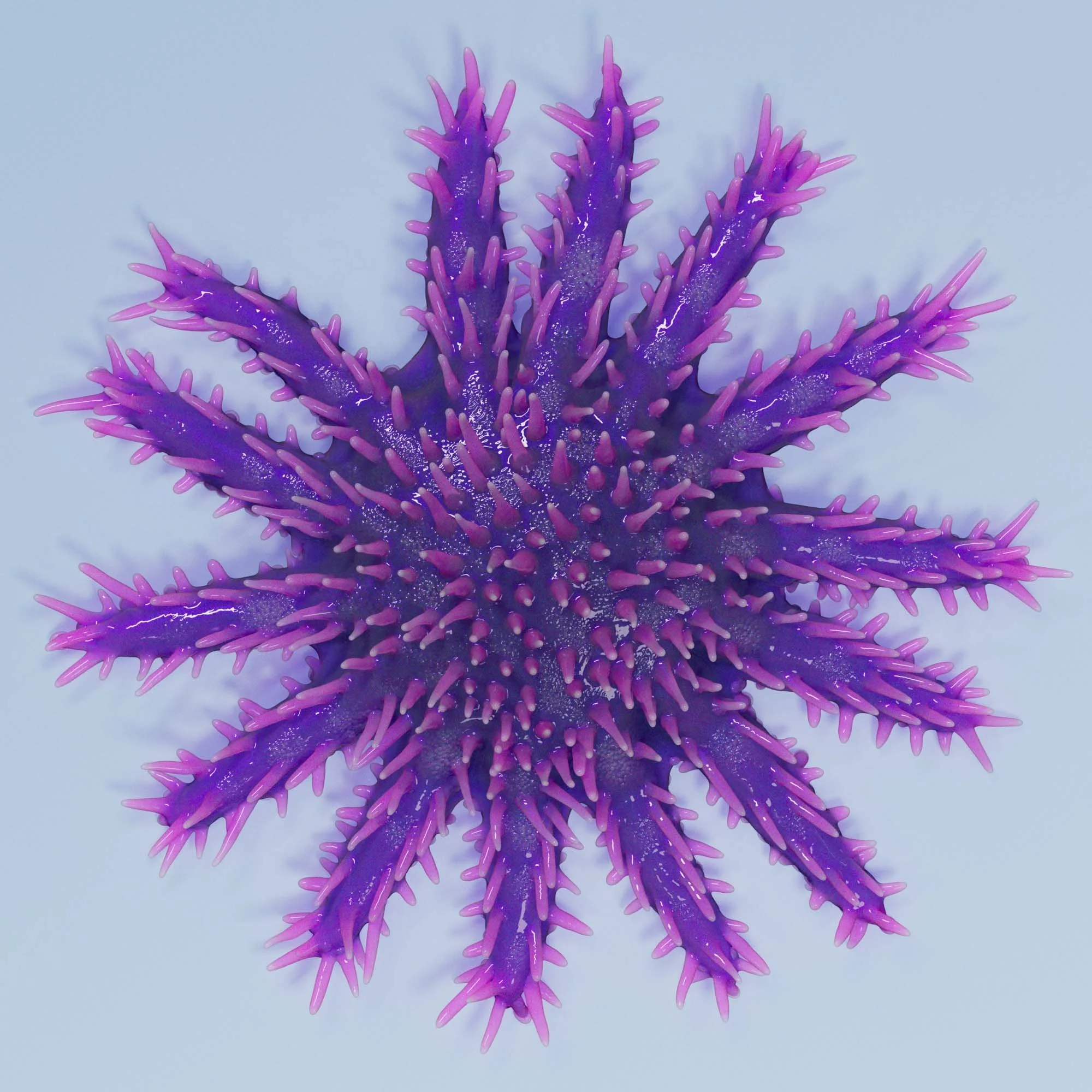 Crown-of-thorns starfish
