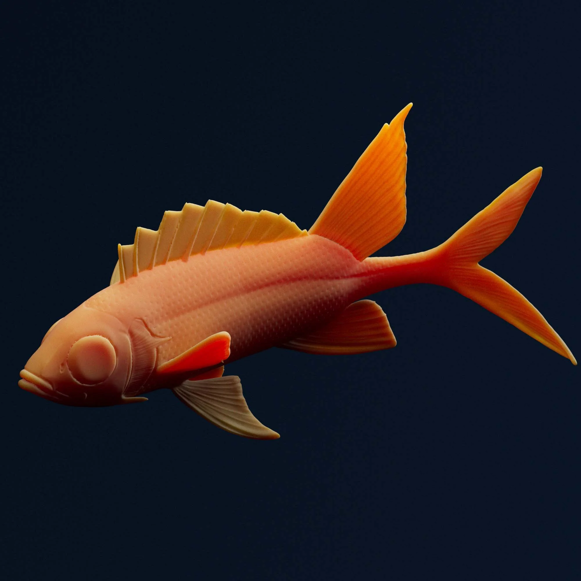 Longspine Squirrelfish ---
Holocentrus rufus