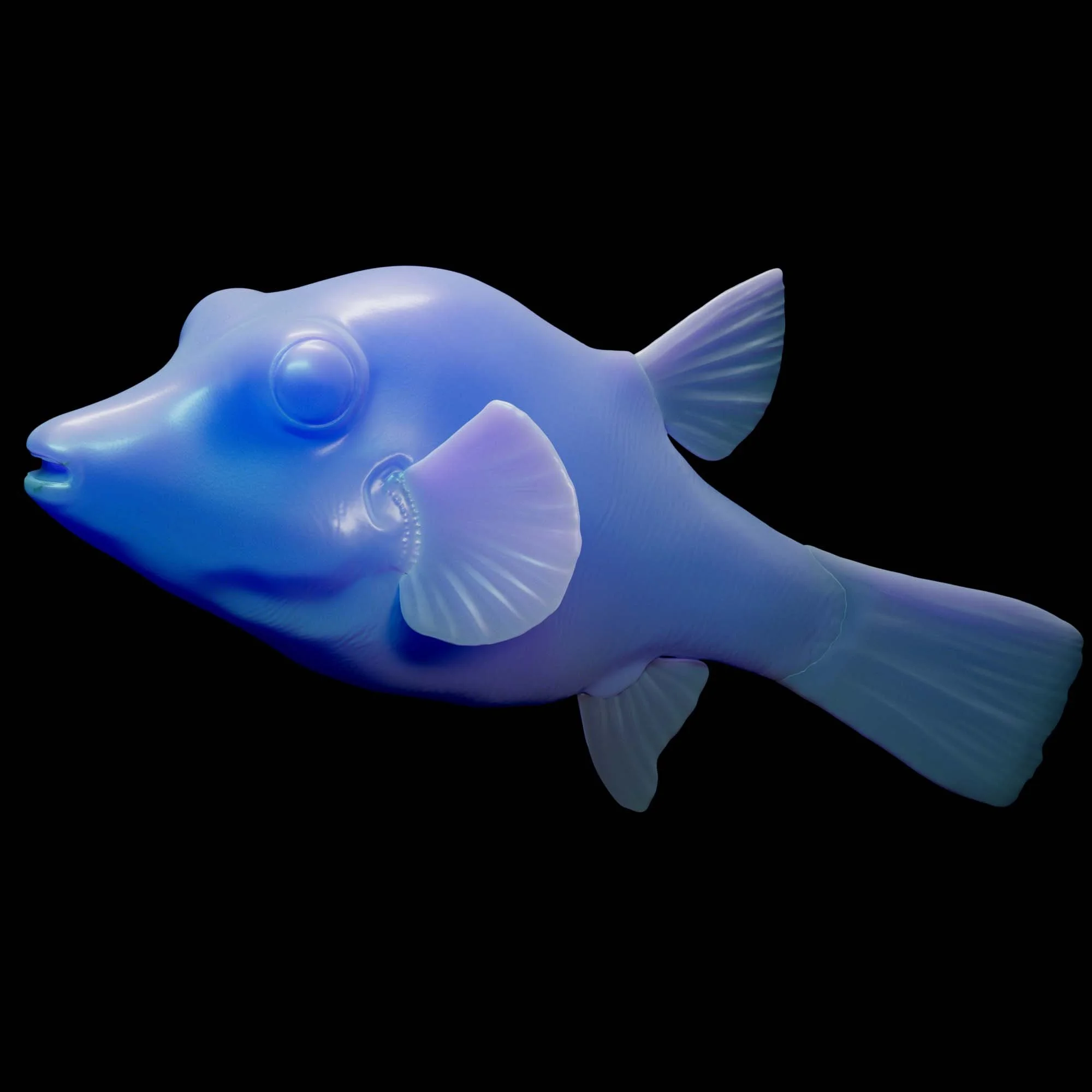 Sharpnose Puffer
(Canthigaster rostrata)