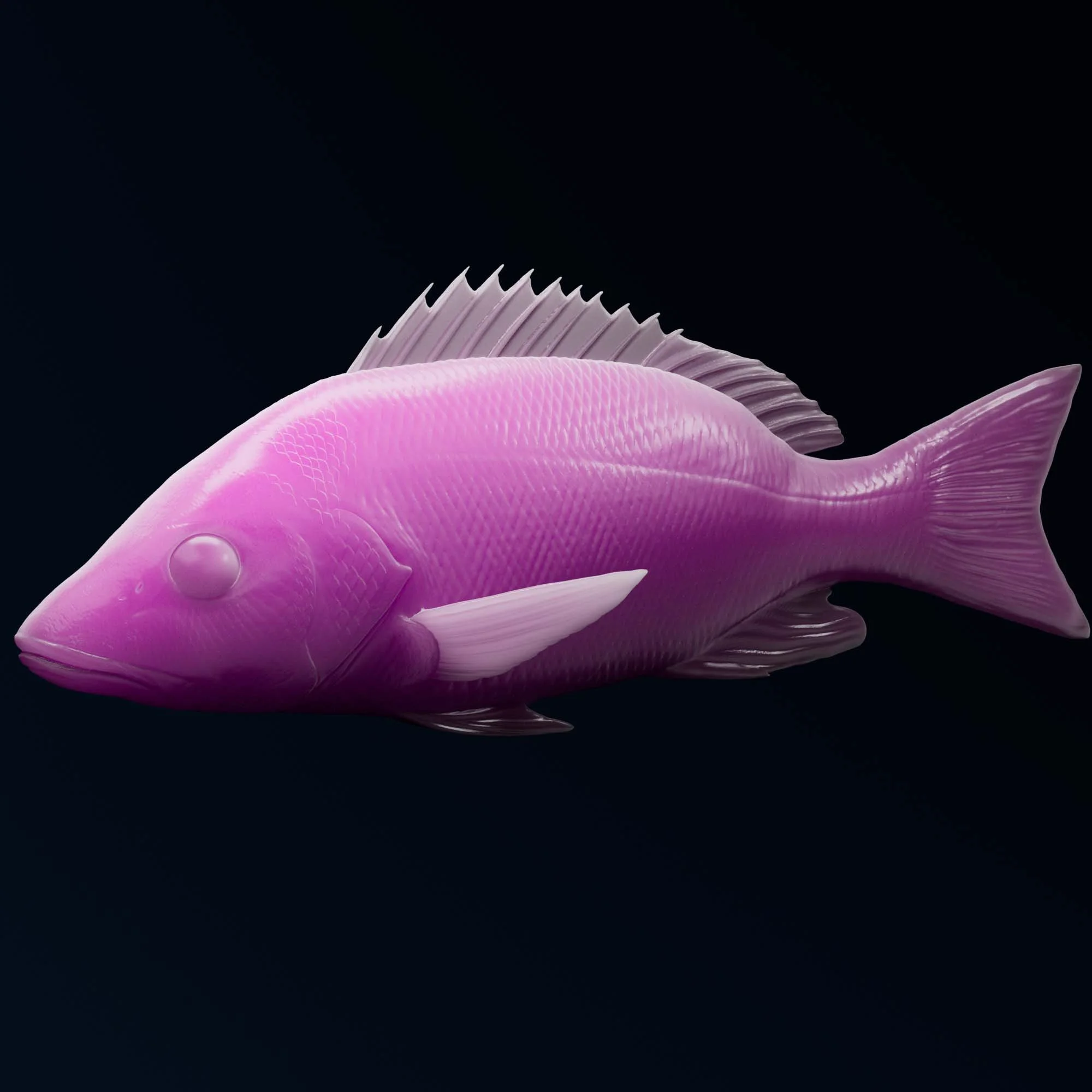 Gray Snapper
(Lutjanus griseus)