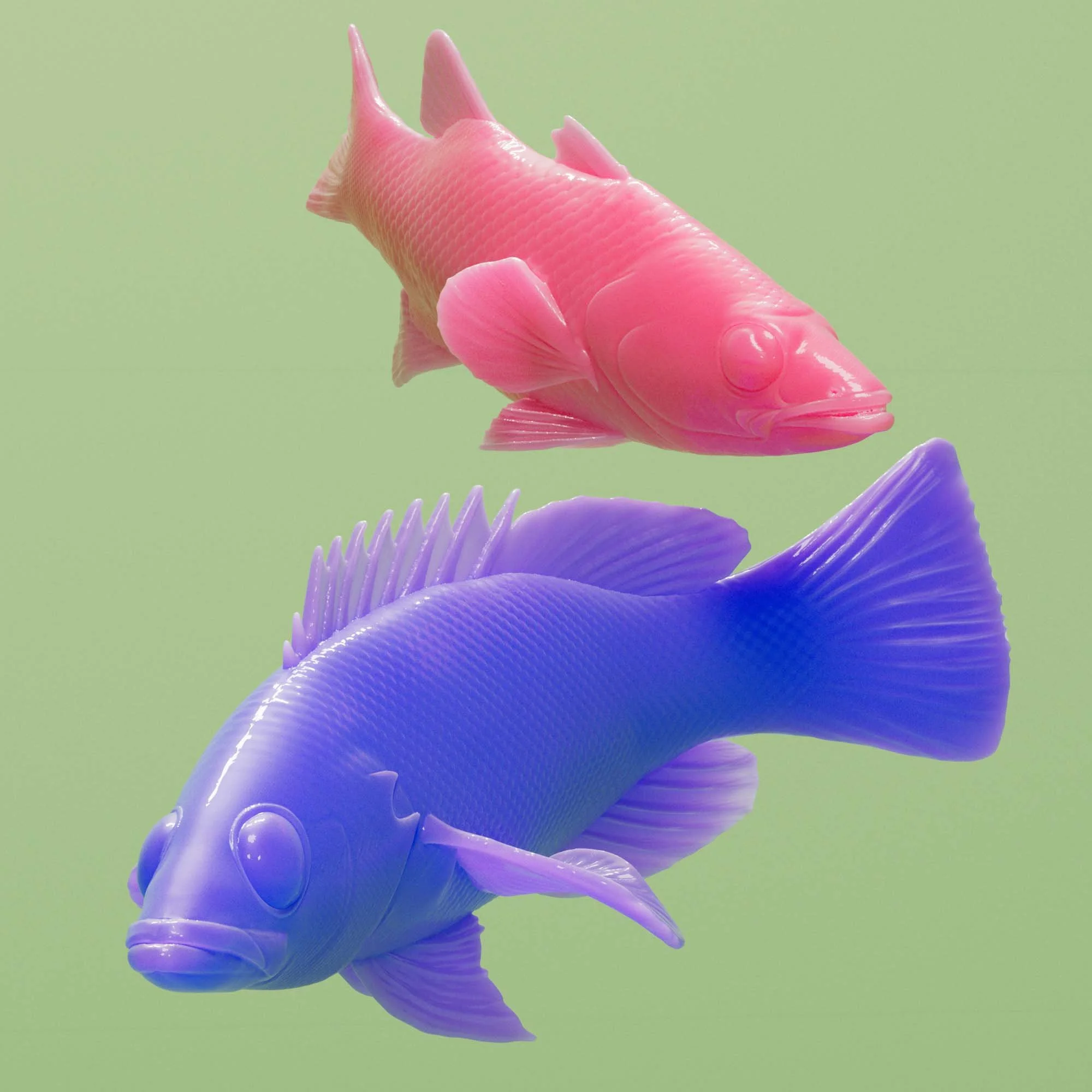 Peppermint Basslet (top) and Harlequin Bass(bottom)