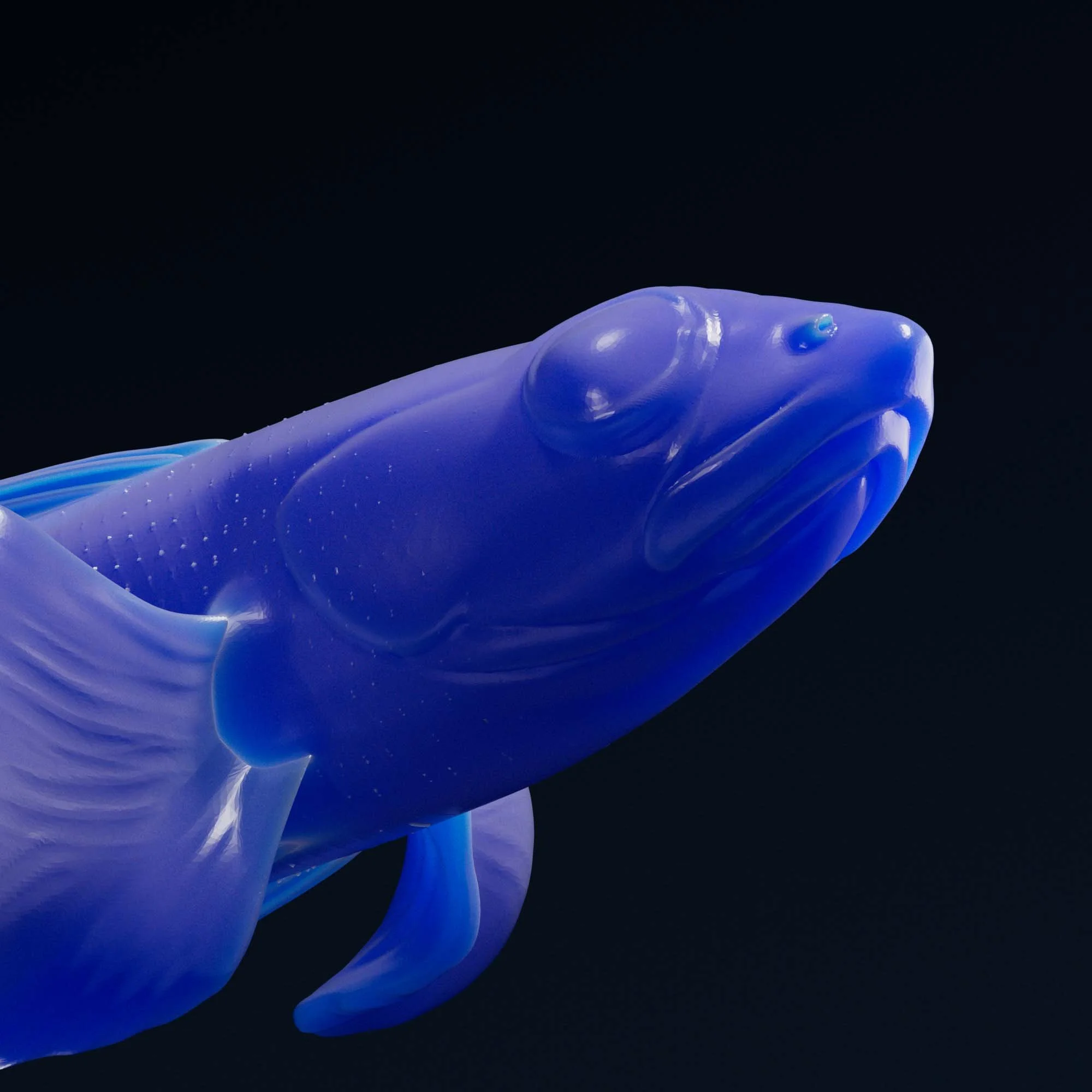 Caribbean Neon Goby
(Elacatinus lobeli)