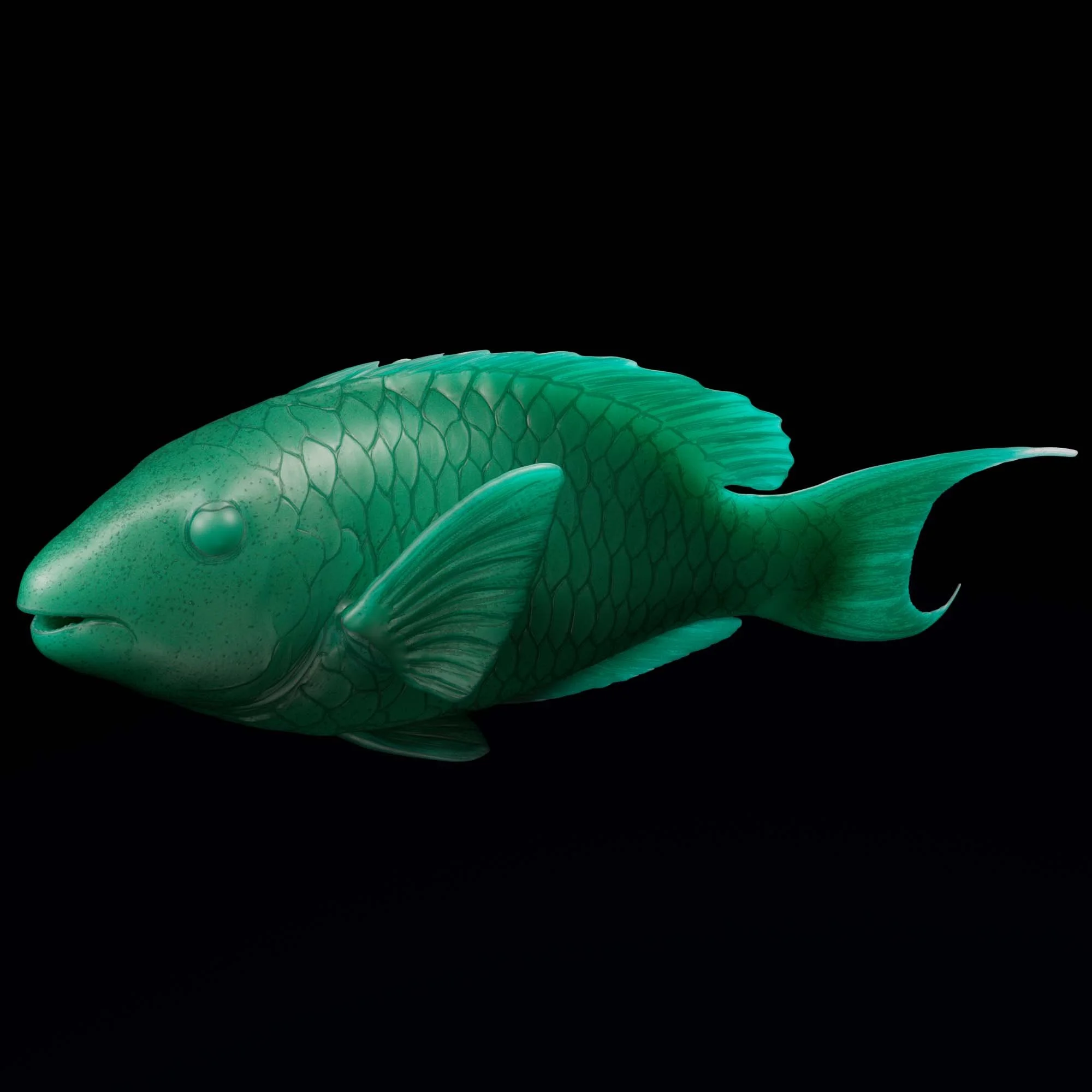 Stoplight Parrotfish
(Sparisoma viride)