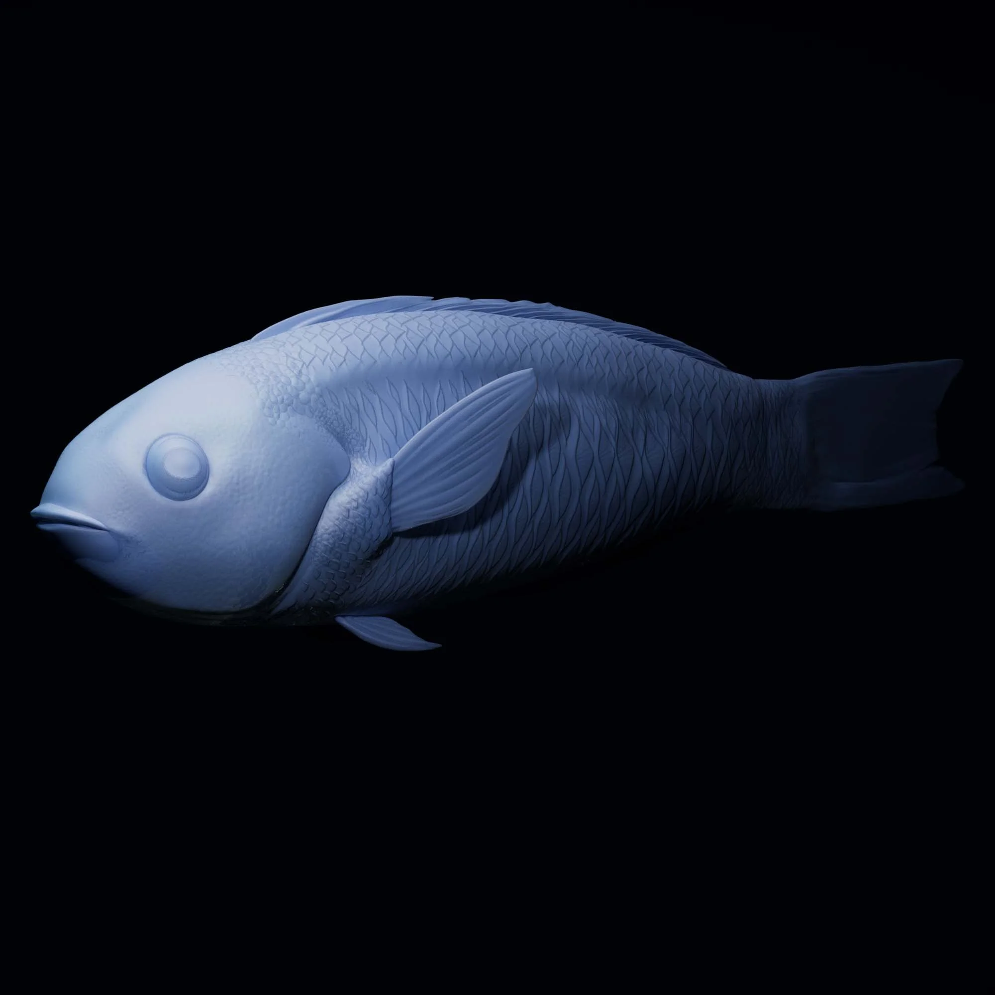 Bluehead
(Thalassoma bifasciatum)