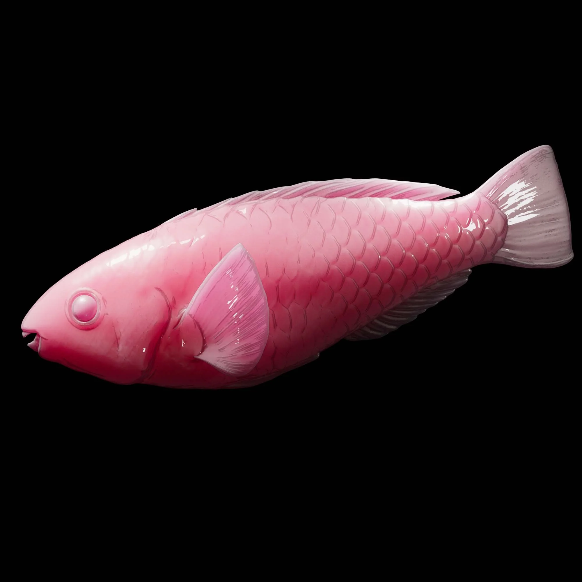 Princess Parrotfish initial phase
(Scarus taeniopterus)