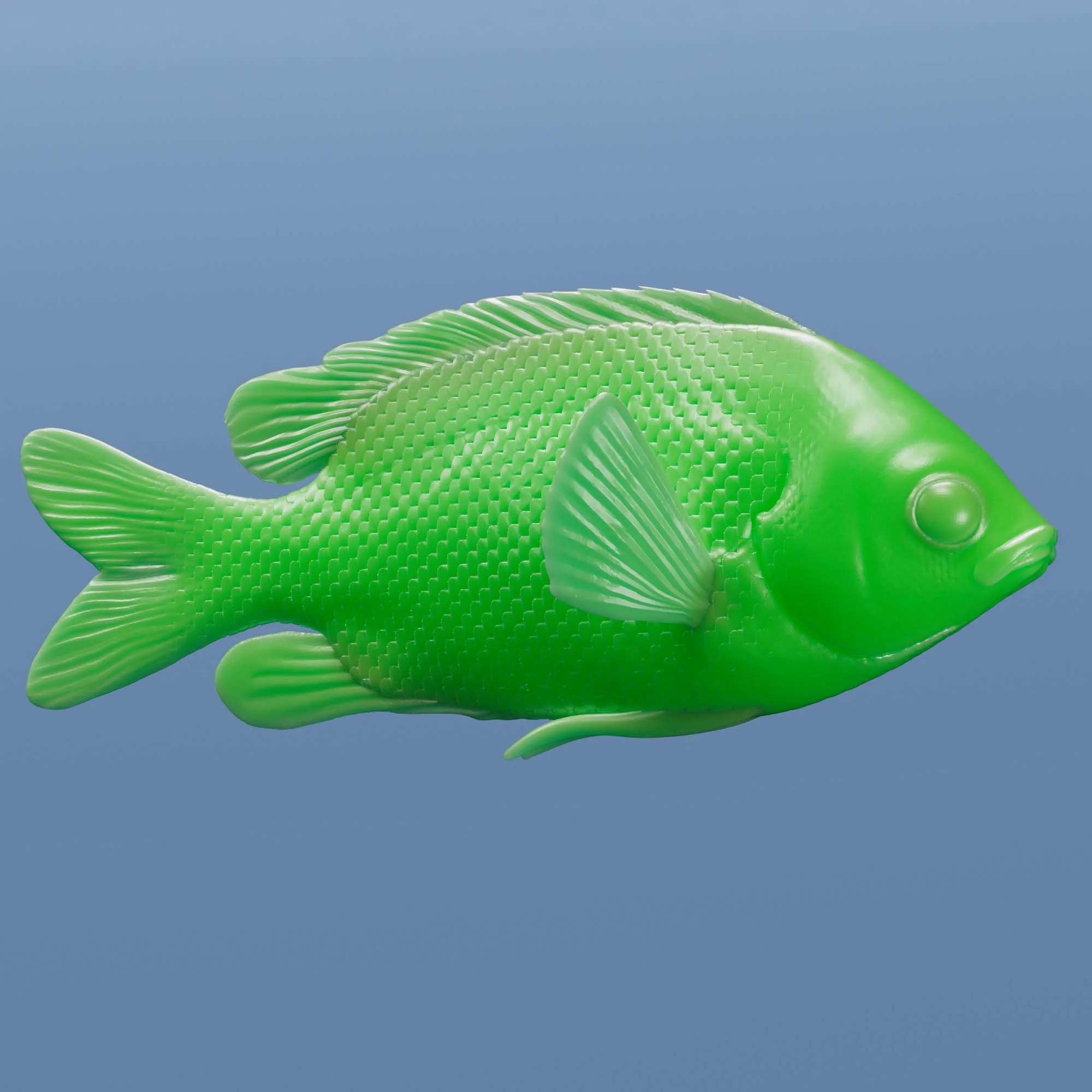 Cocoa Damselfish
(Stegastes variabilis)