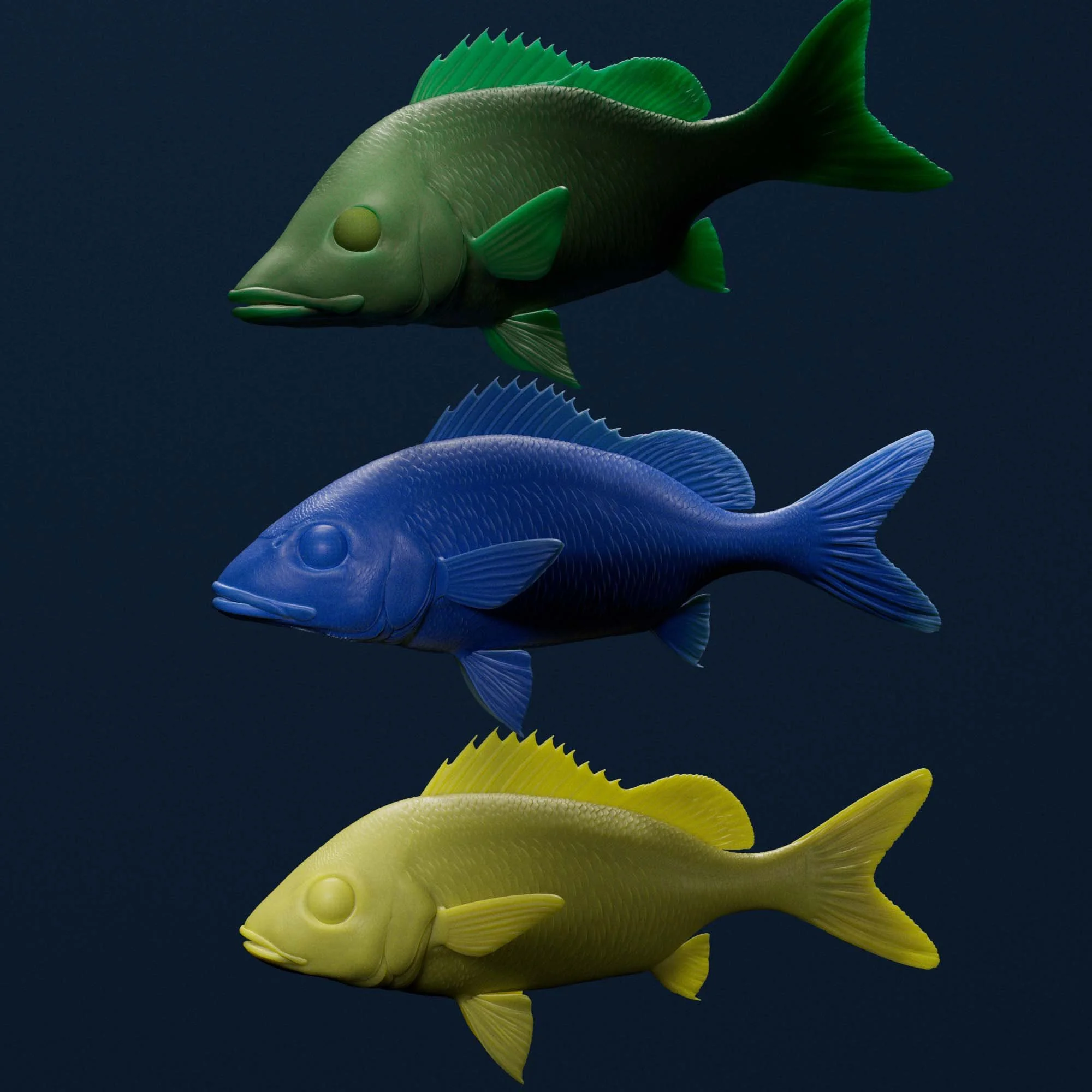 White Grunt, Bluestripe Grunt, French Grunt