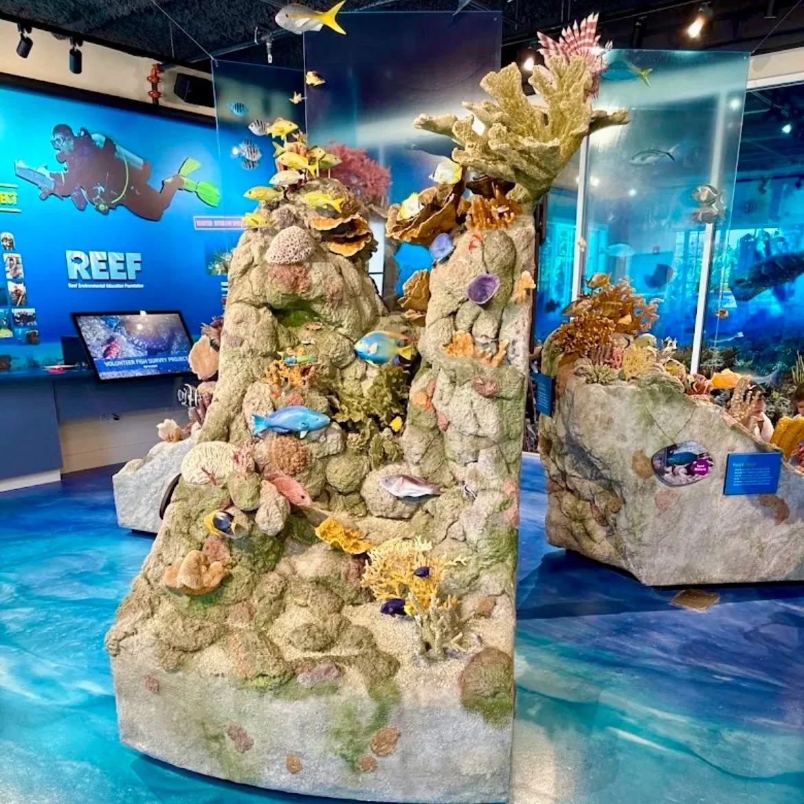 REEF Ocean Exploration Center Sculptures