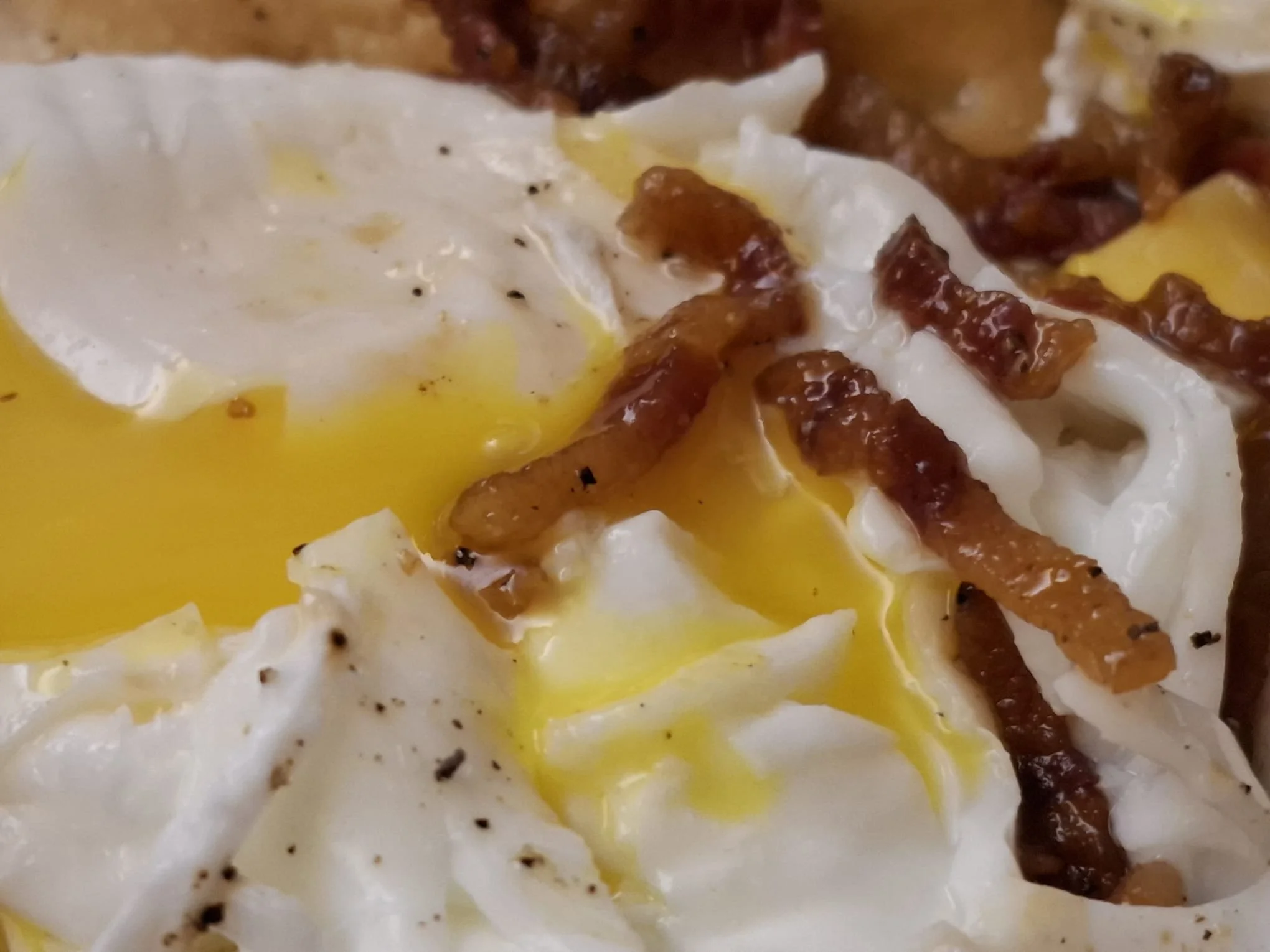 WhatsApp Image 2026-02-02 at 20.17.25 (1).jpeg