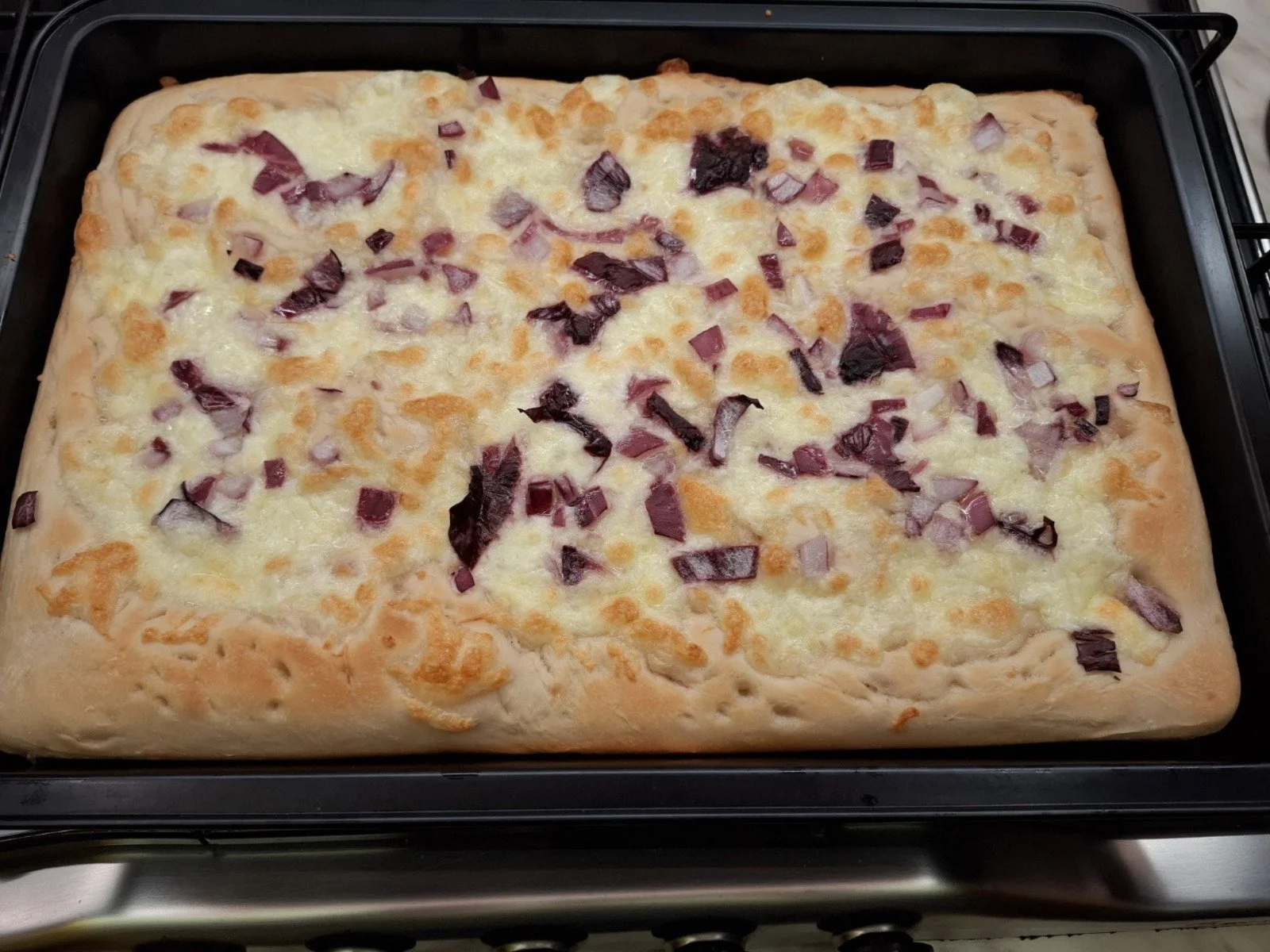 WhatsApp Image 2026-02-15 at 14.18.06.jpeg