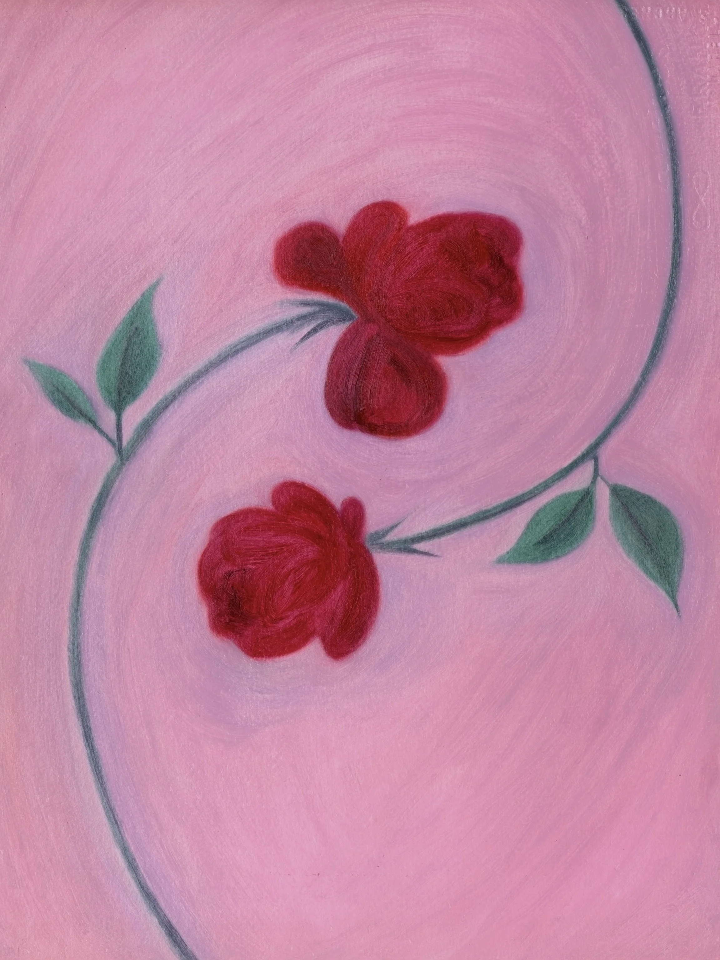 blooms 2.jpg