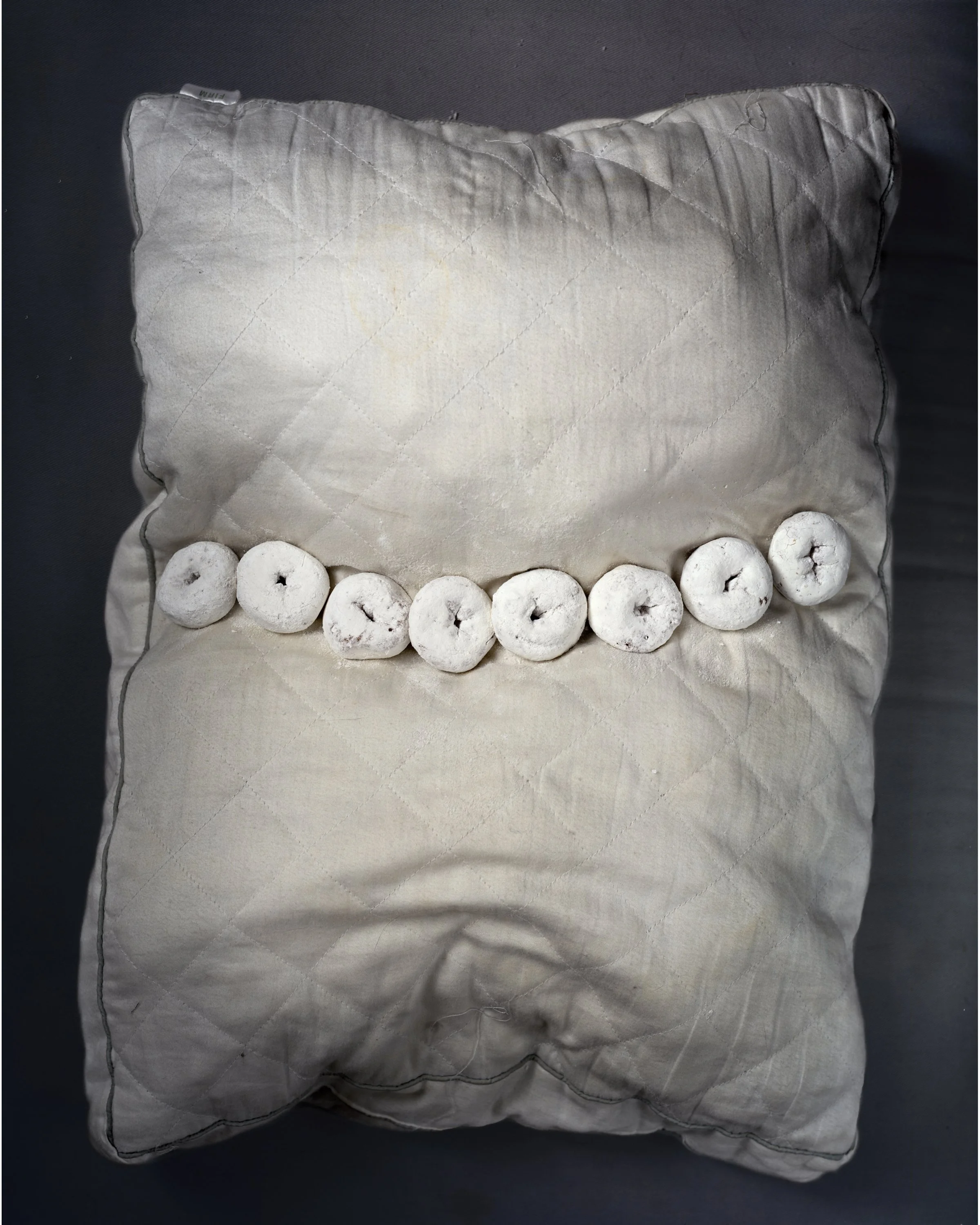 Mini Powdered Donuts, 2014