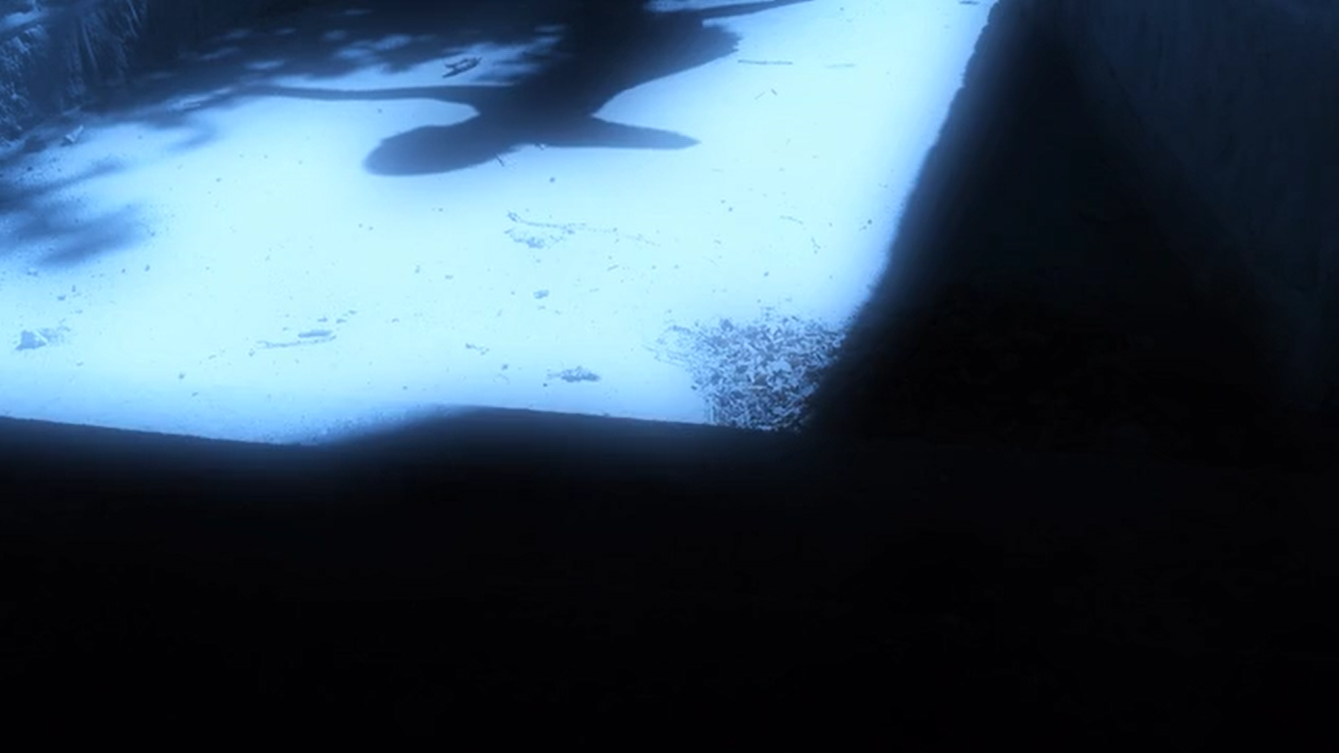 Screenshot (1555).png