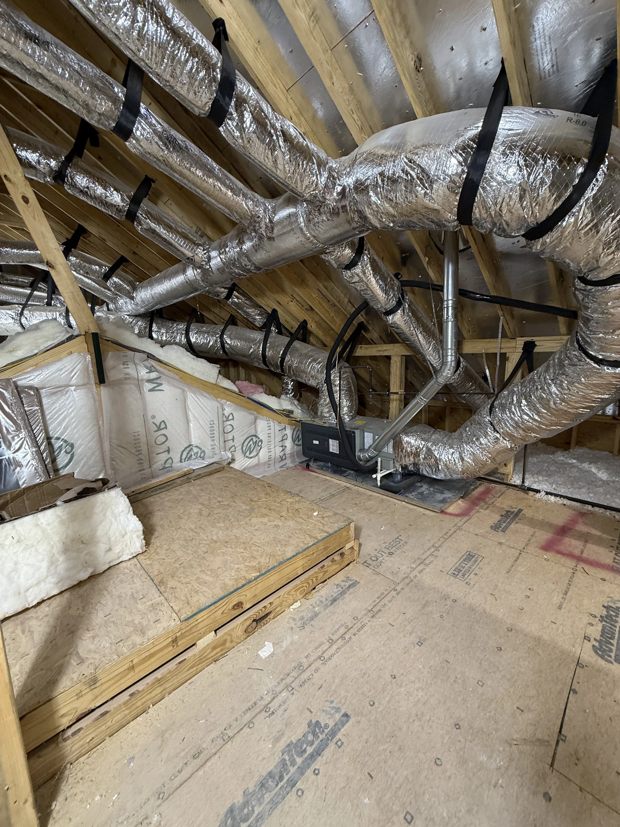IMG_1516.JPG
